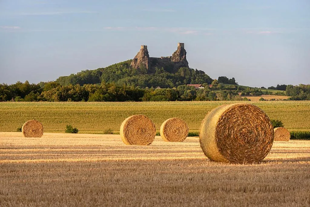 Hotel reSTART Superior