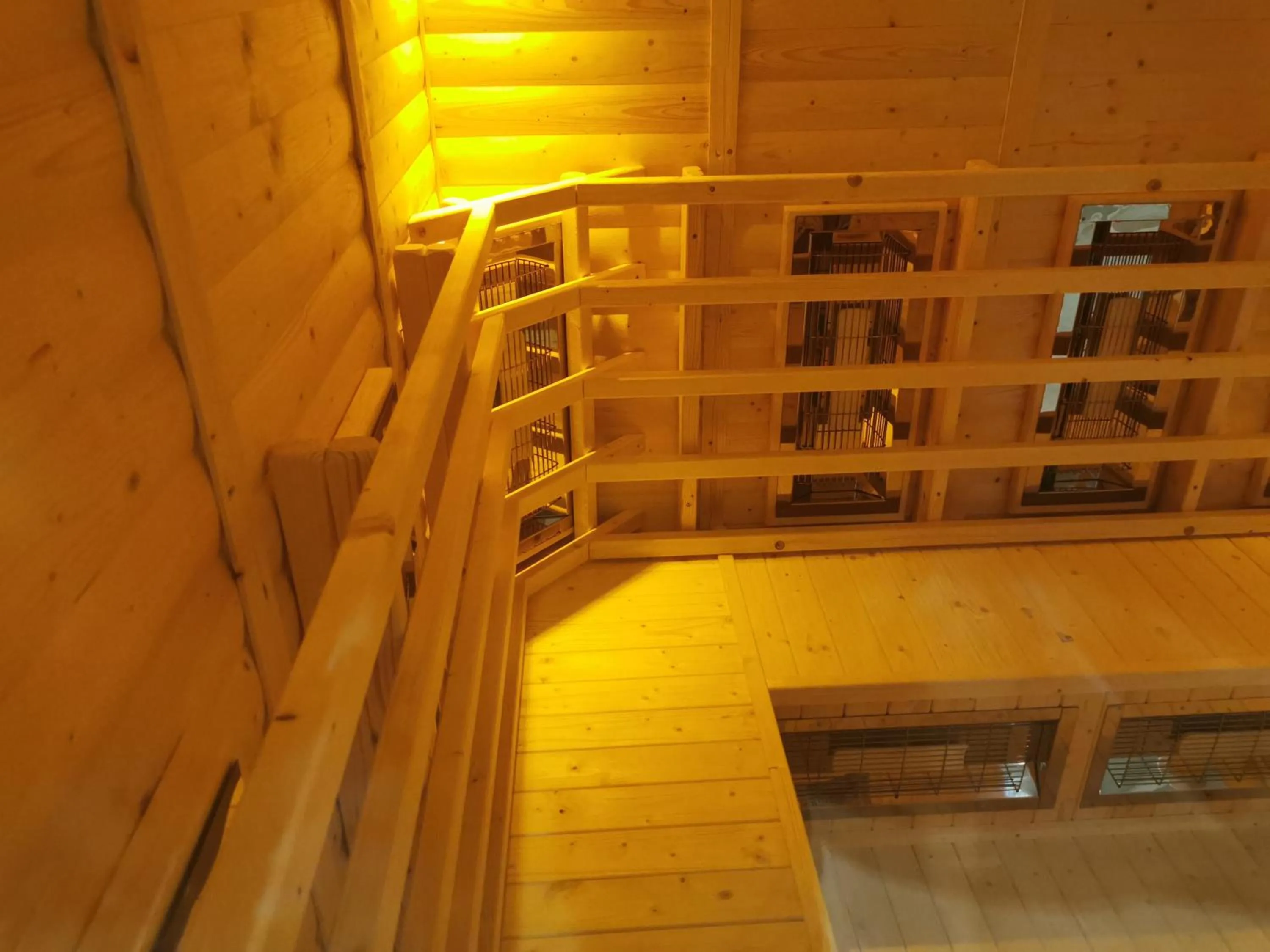 Sauna in The Beeches Hotel & Leisure Club
