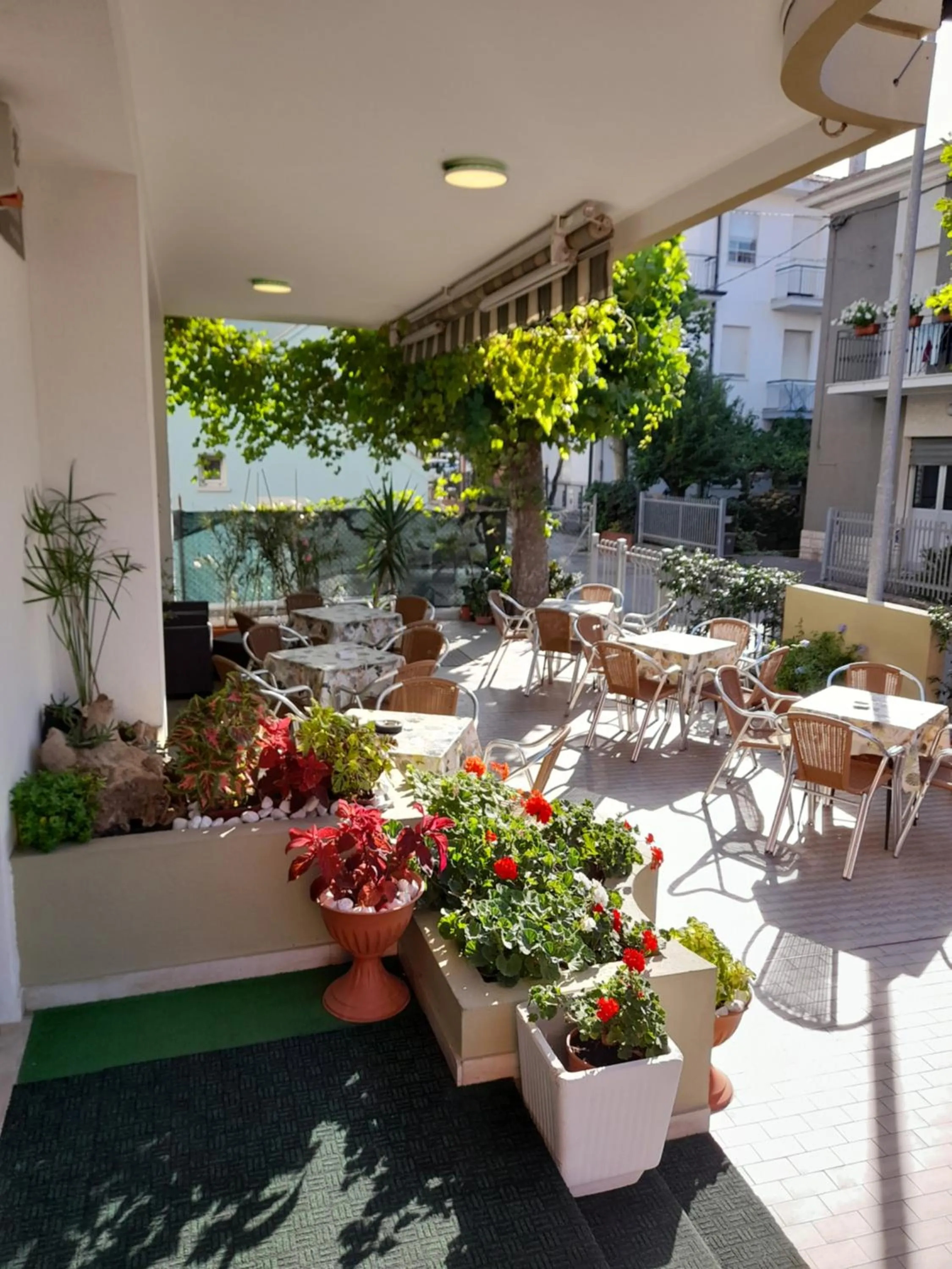 Property building in Hotel Carmen Viserba