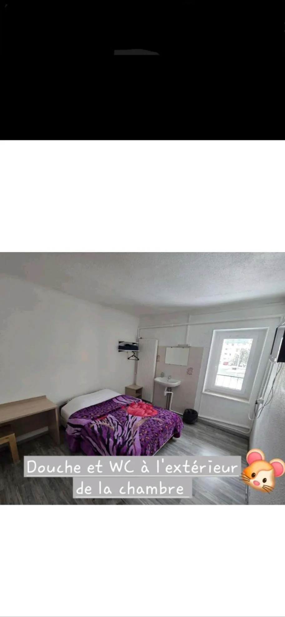 Double Room with Shared Bathroom in Hotel de la Gare
