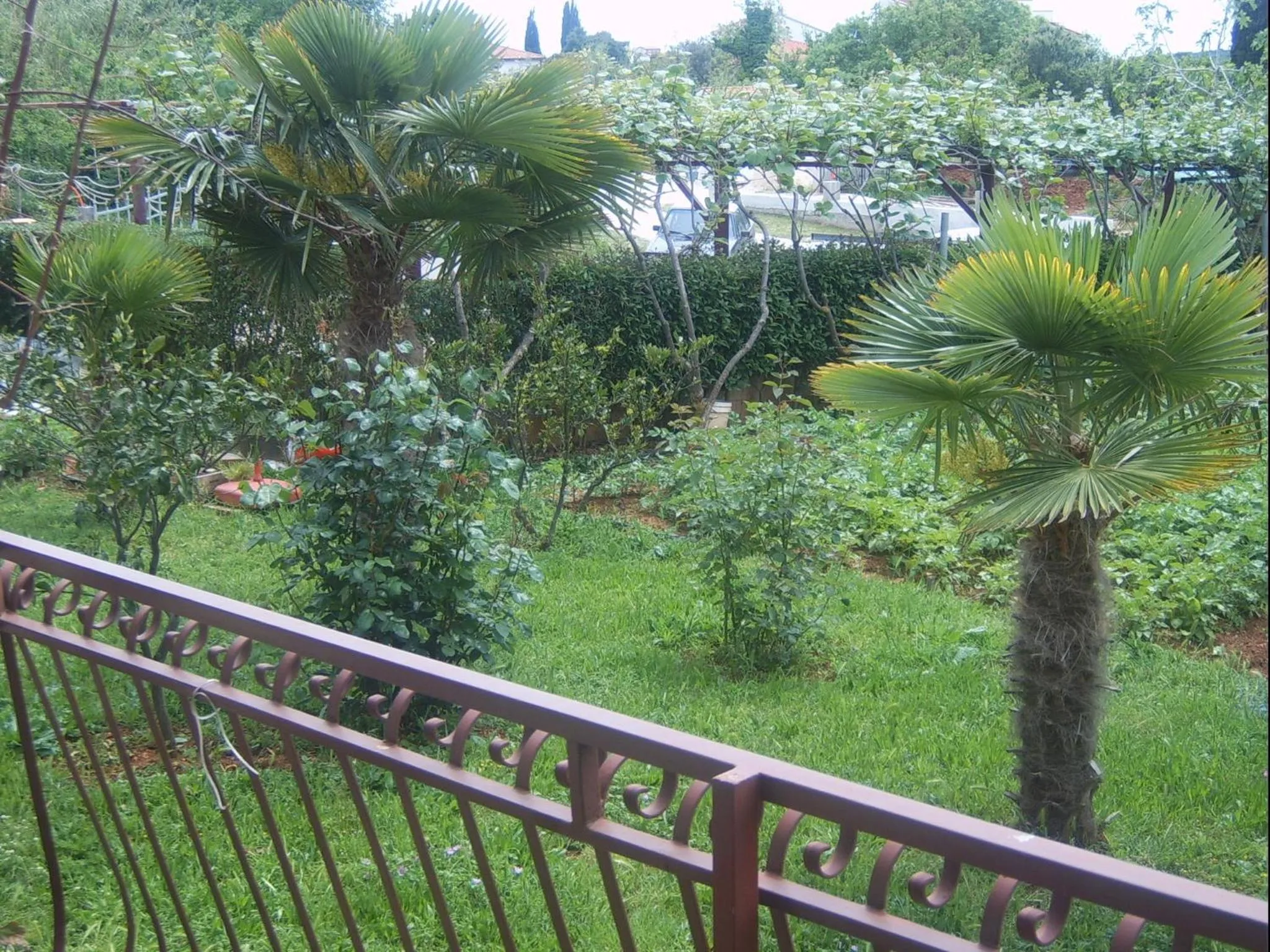 Garden in Apartments Zova