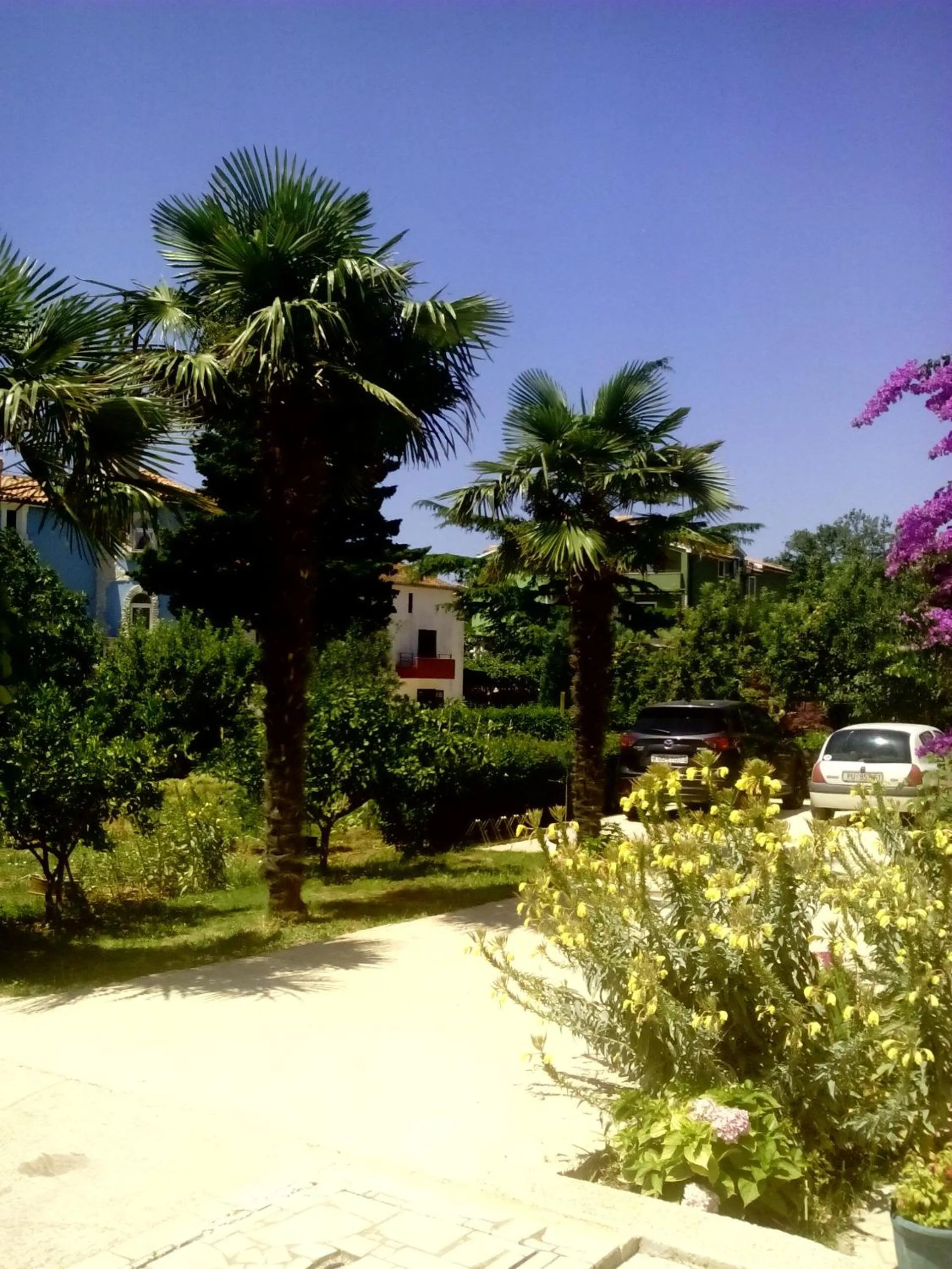 On site in Apartments Zova