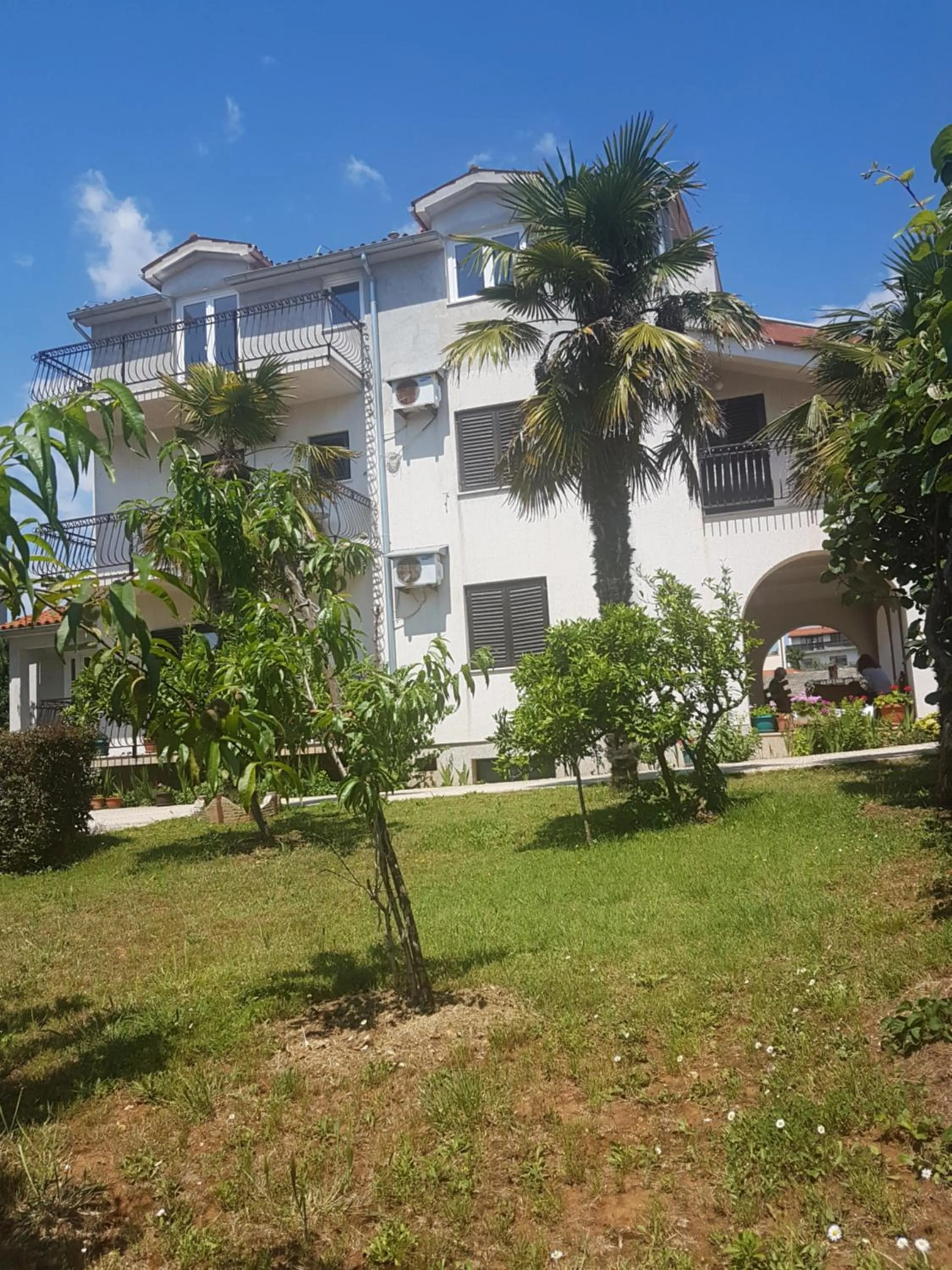 Property building in Apartments Zova