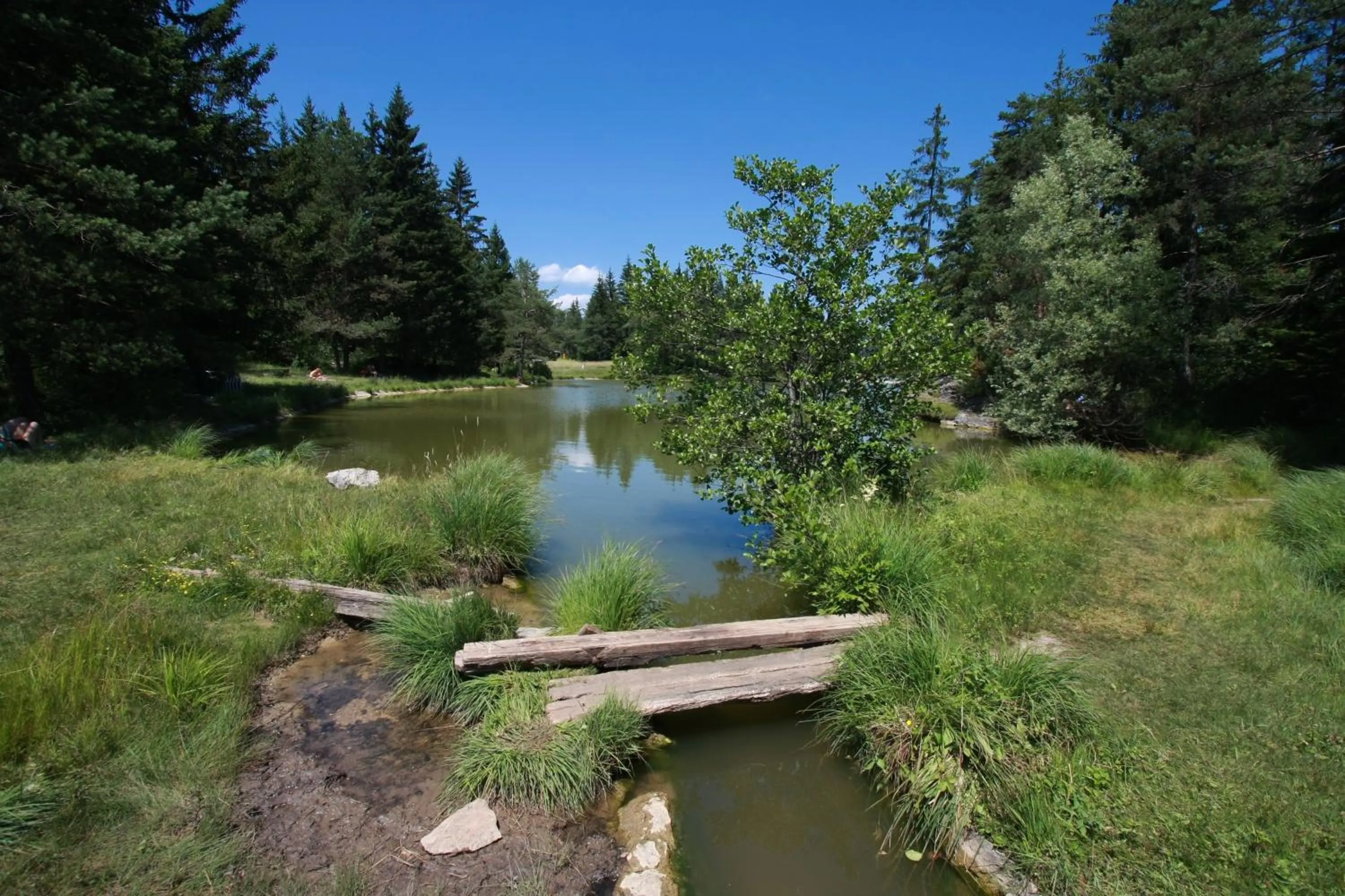 Natural landscape in Hotel Rakitna