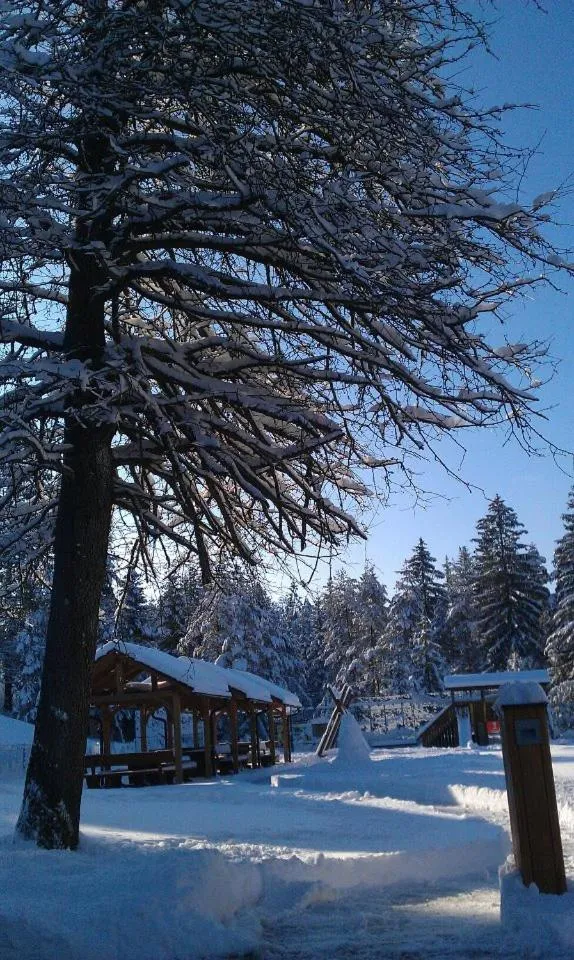 Winter in Hotel Rakitna