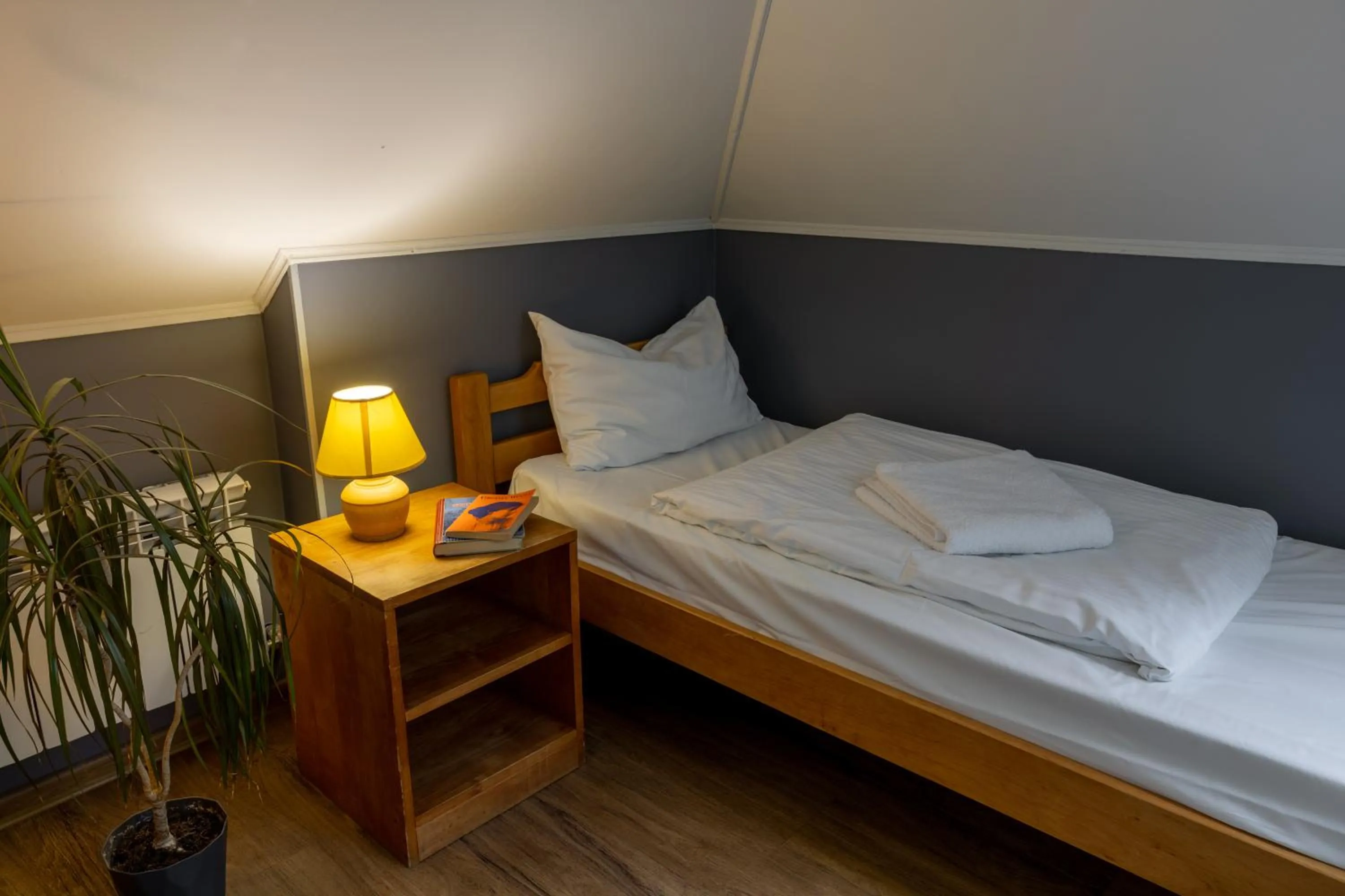 Bed in DREAM Hostel Kyiv