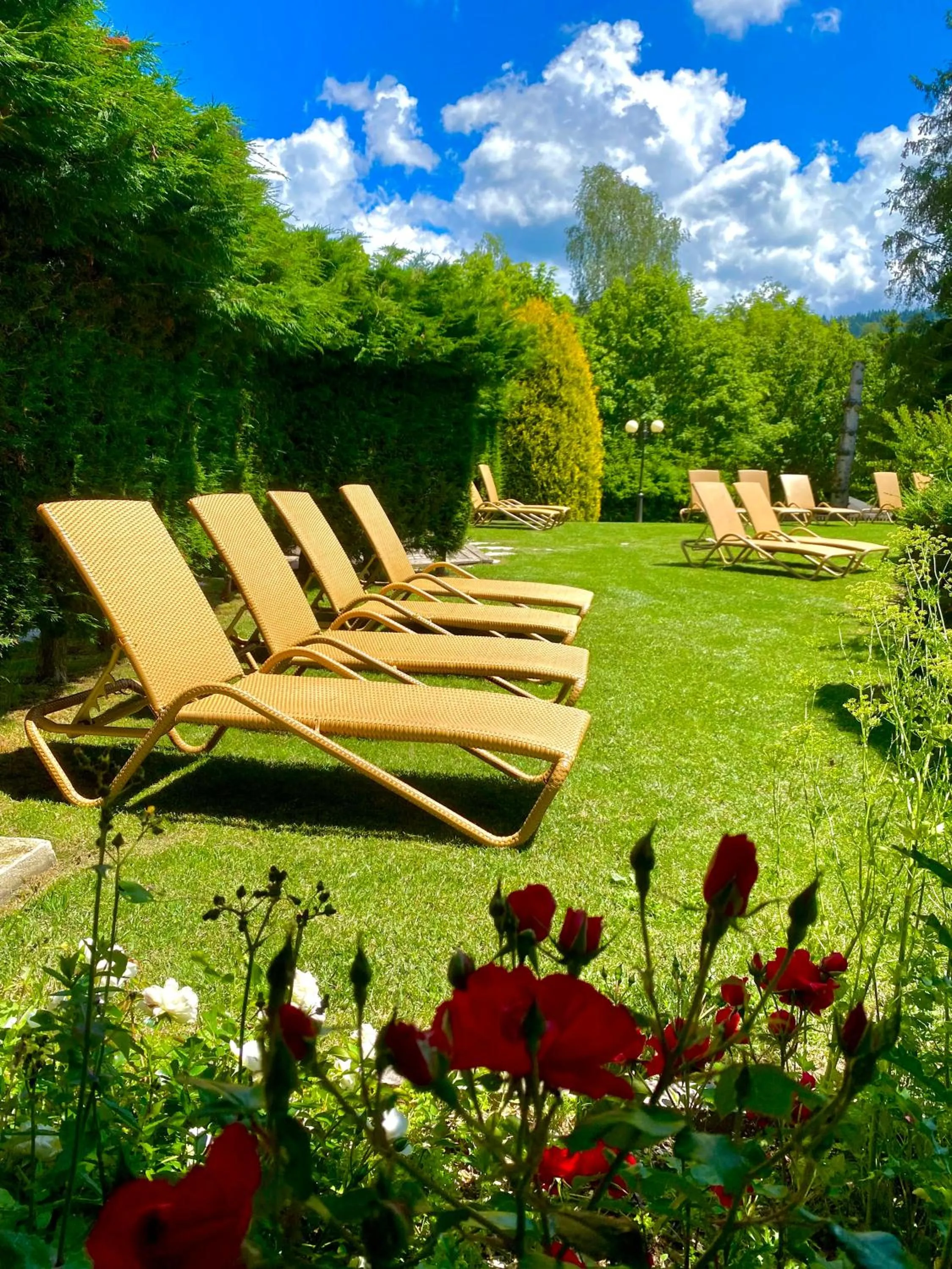 Garden in Alpen Hotel Eghel