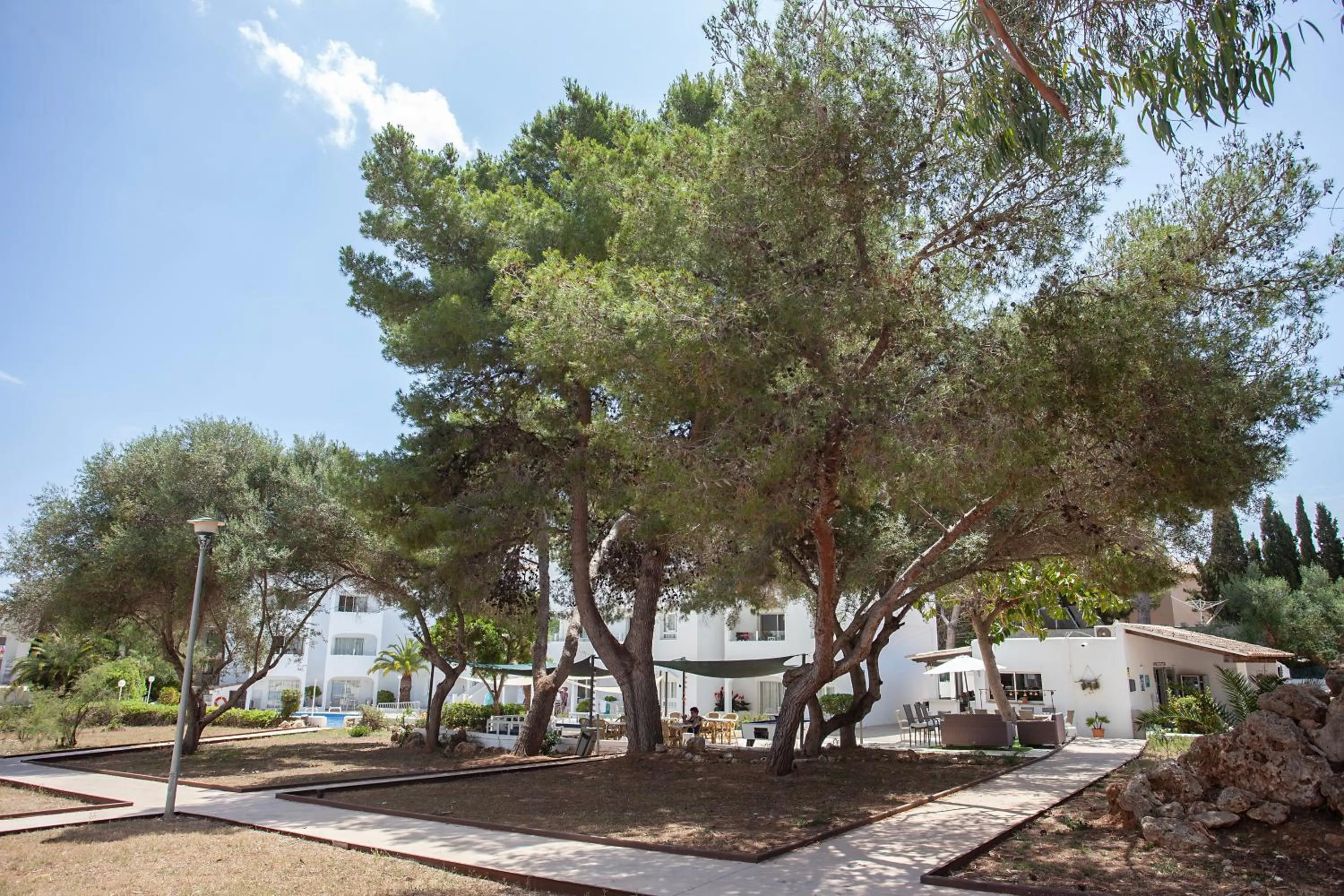 Garden in BJ Apartamentos Europa