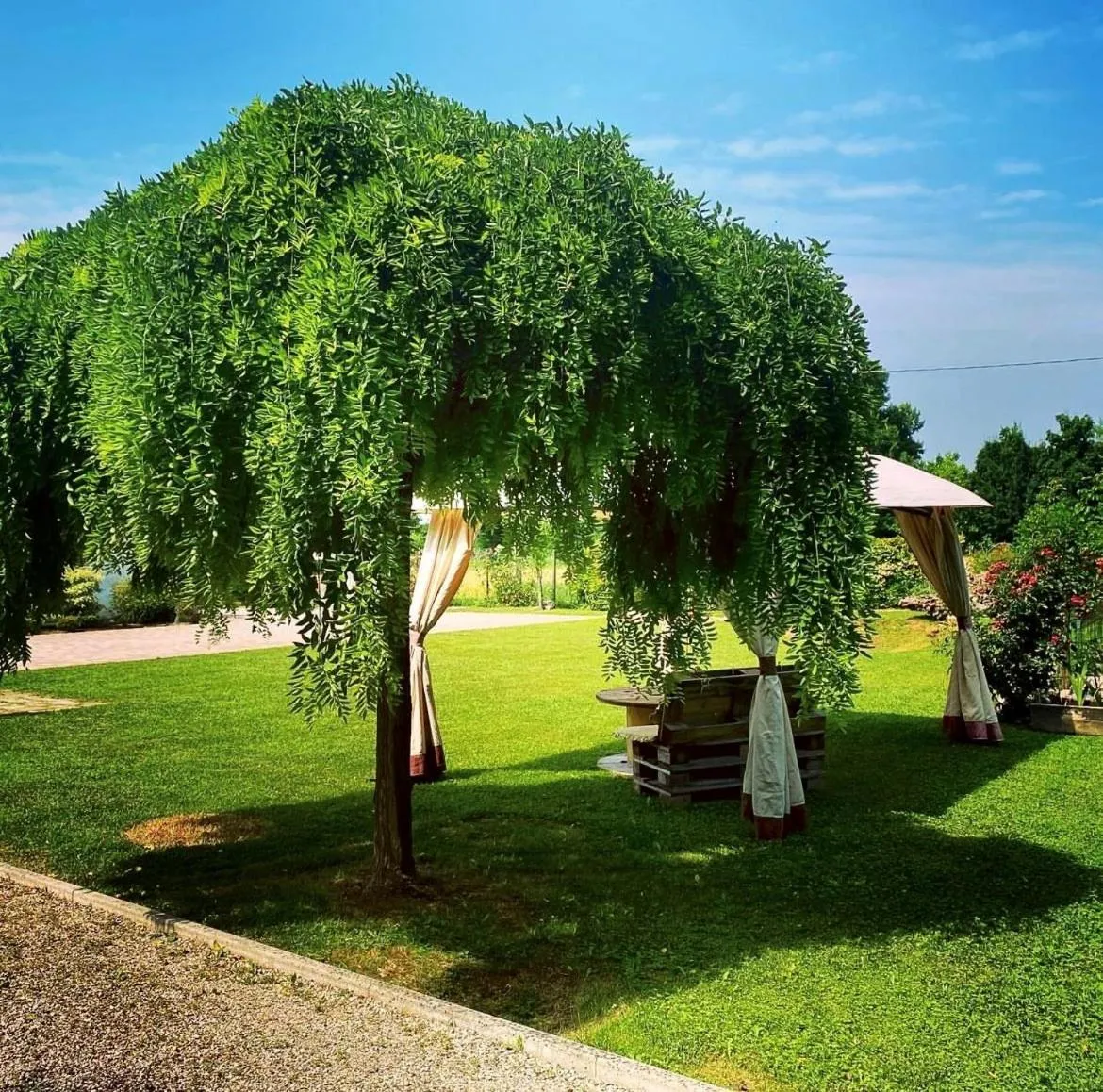 Garden in B&B Il Sentiero