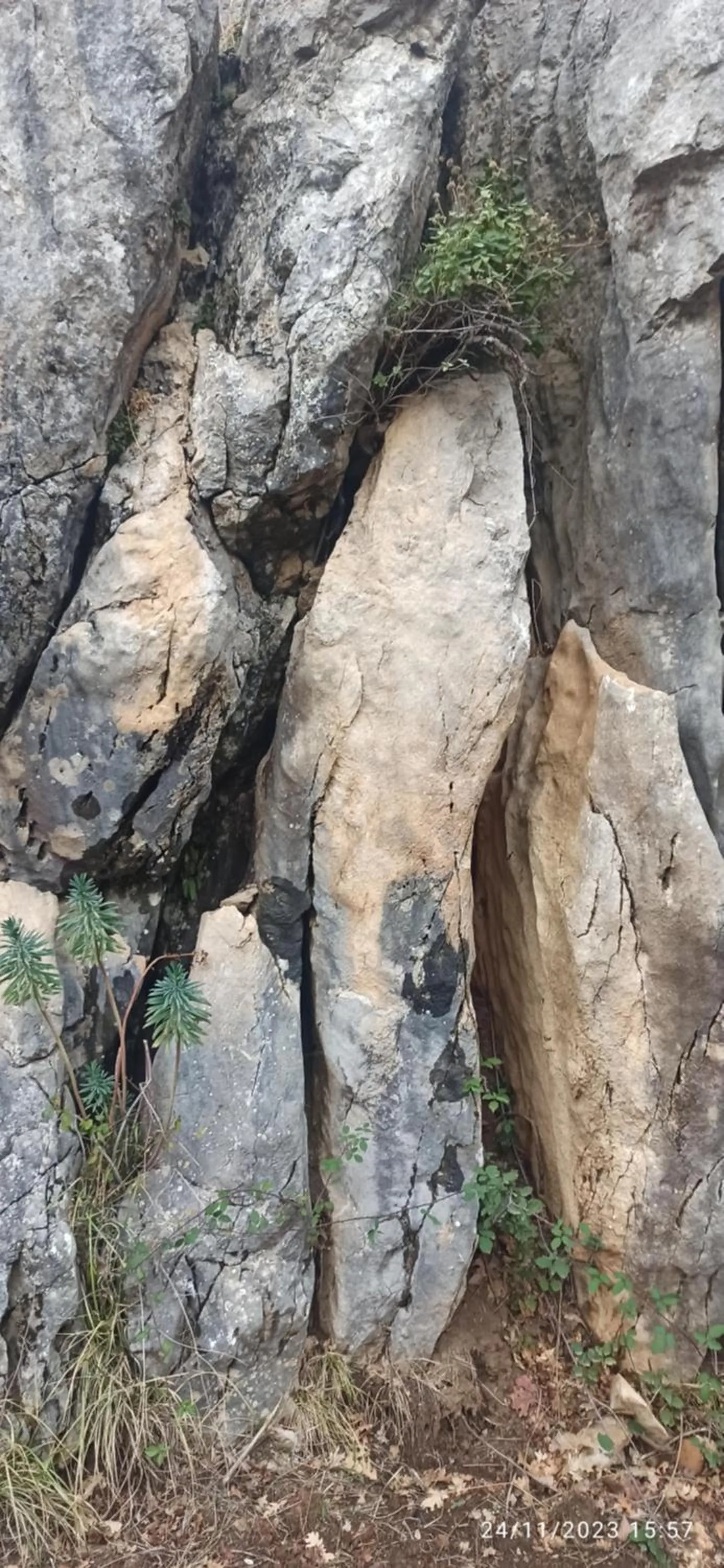 B&b il campanile di leone Pina