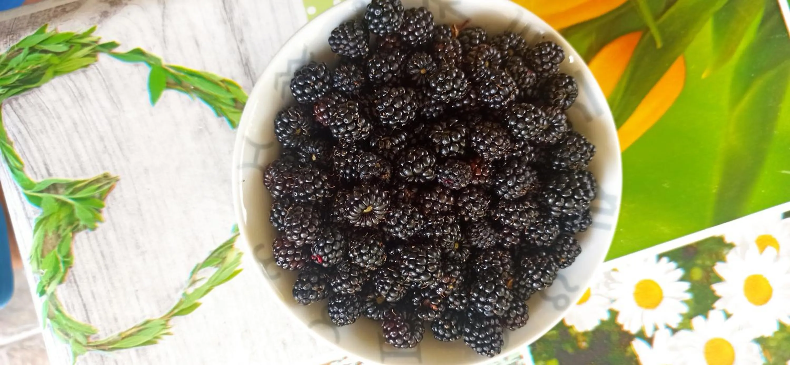 B&b il campanile di leone Pina