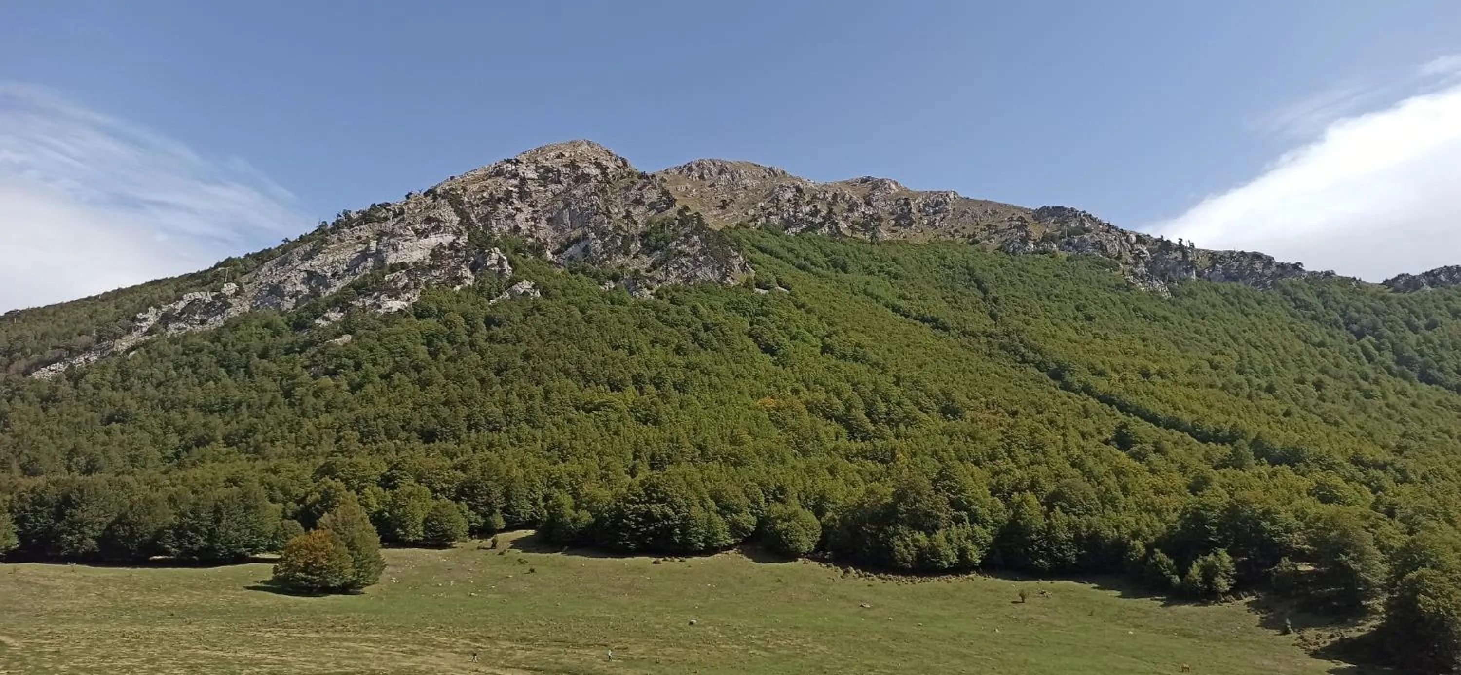 B&b il campanile di leone Pina