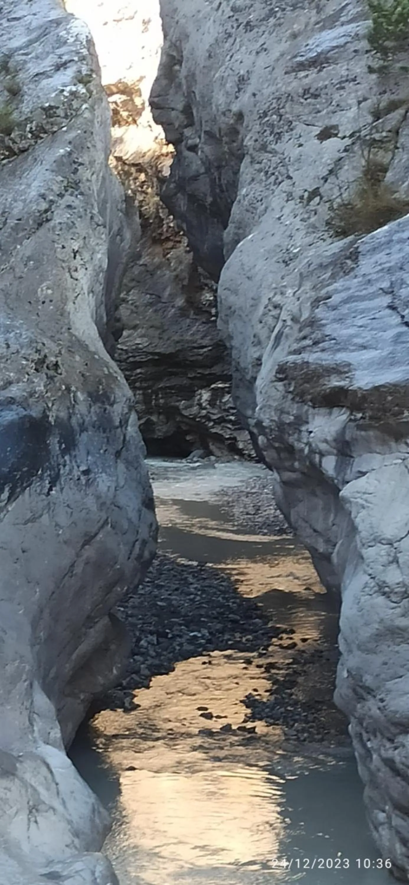 B&b il campanile di leone Pina