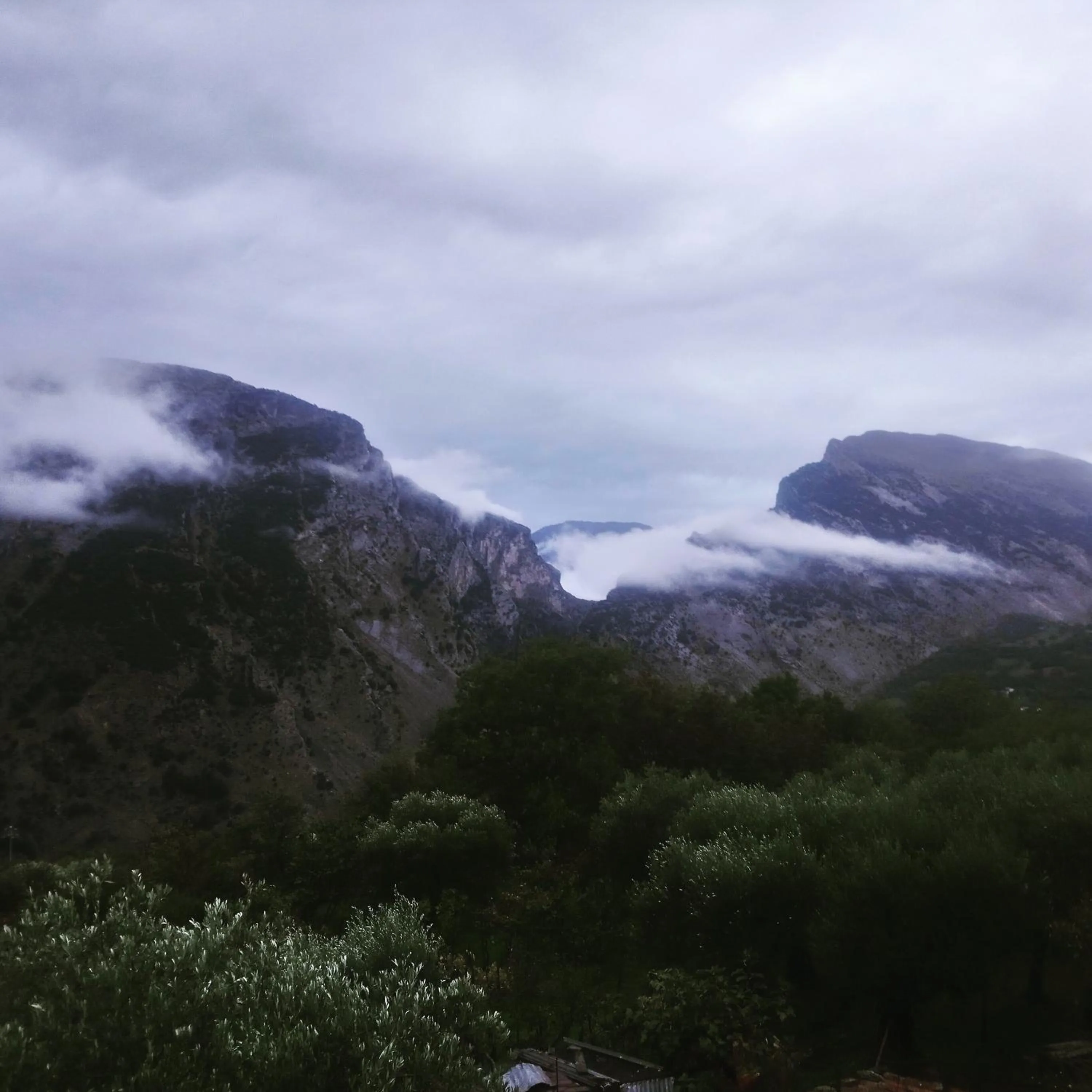 Natural landscape in B&b il campanile di leone Pina
