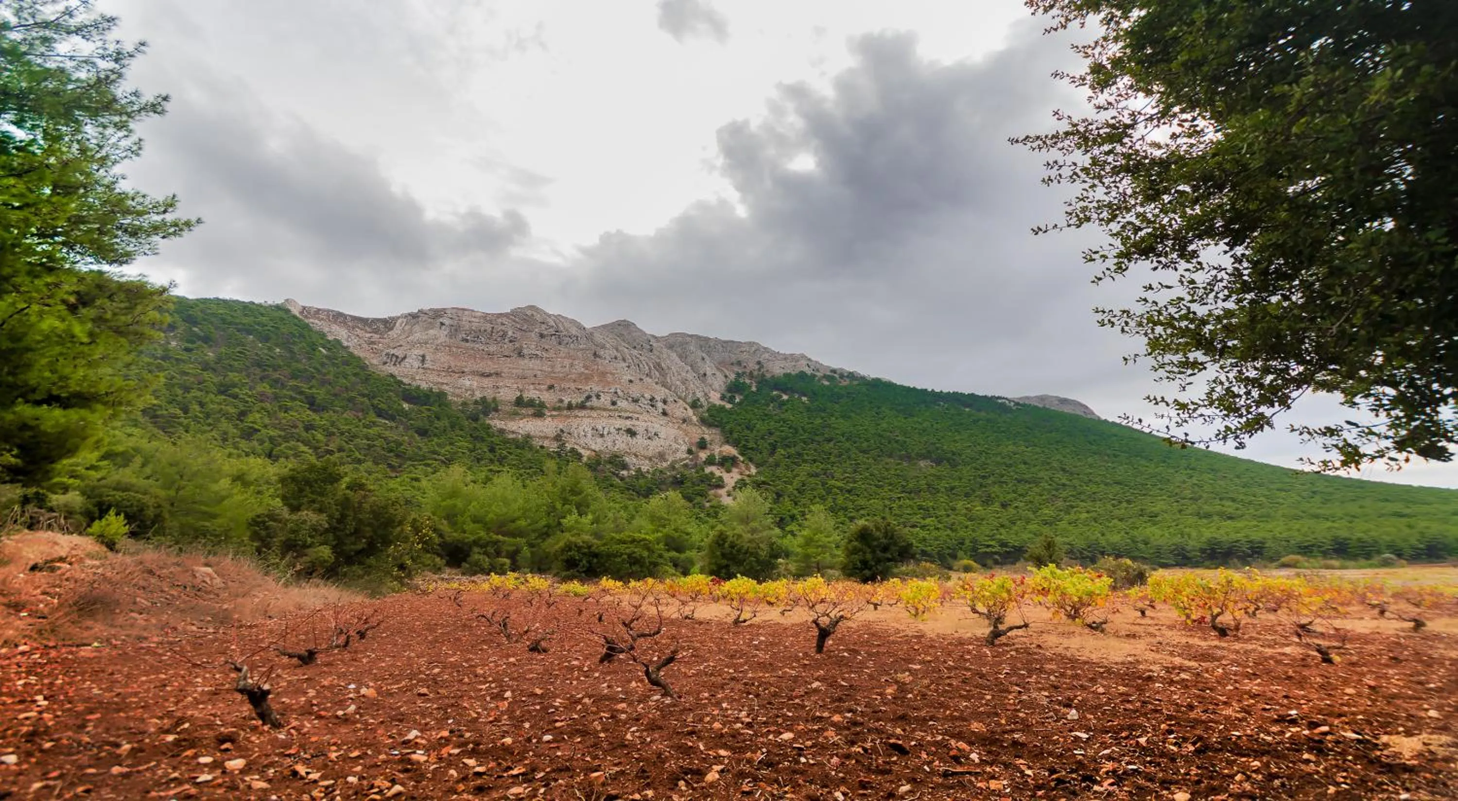 Natural landscape in Limeri Traditional Guest House