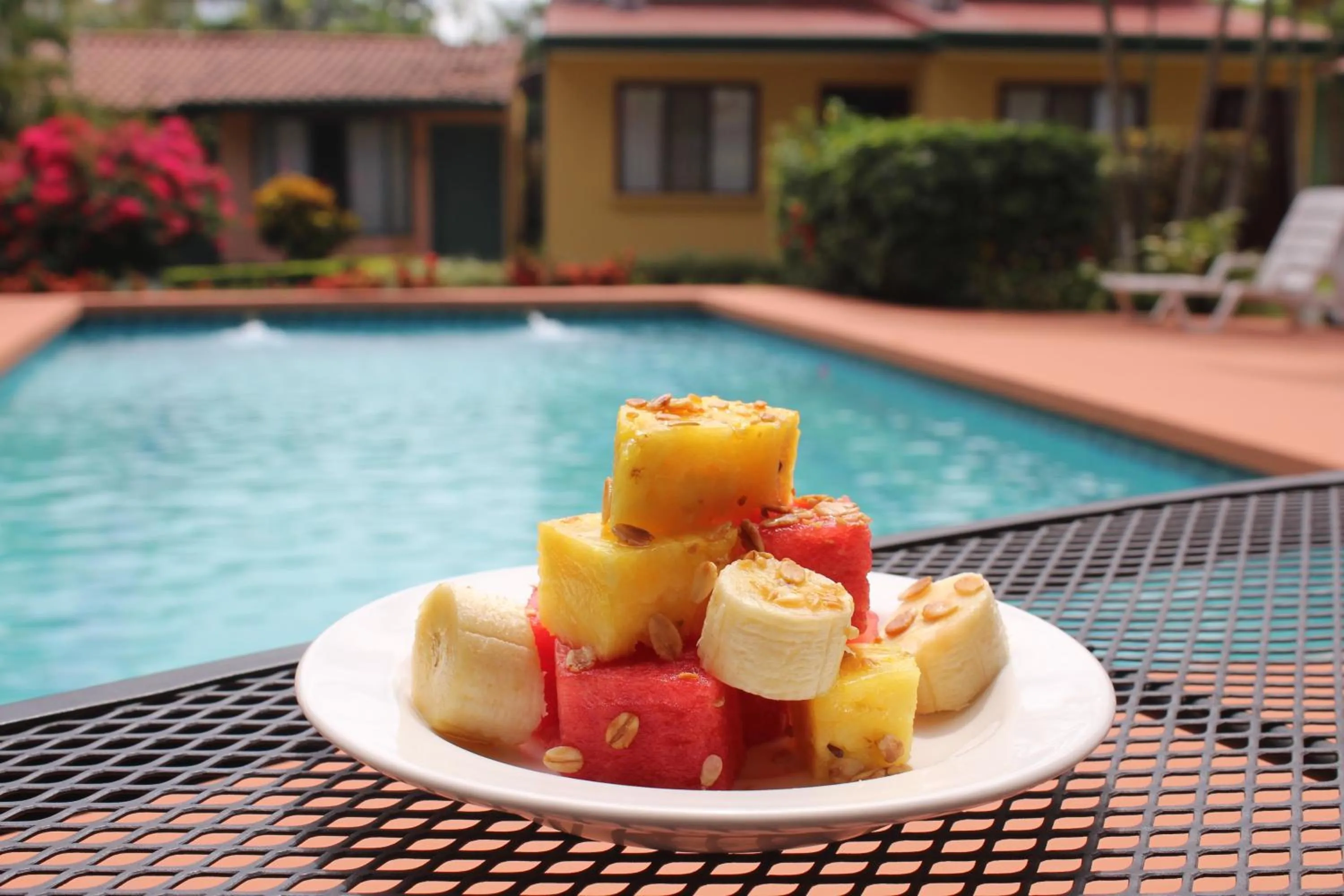 Garden in Hotel Bristol Aeropuerto