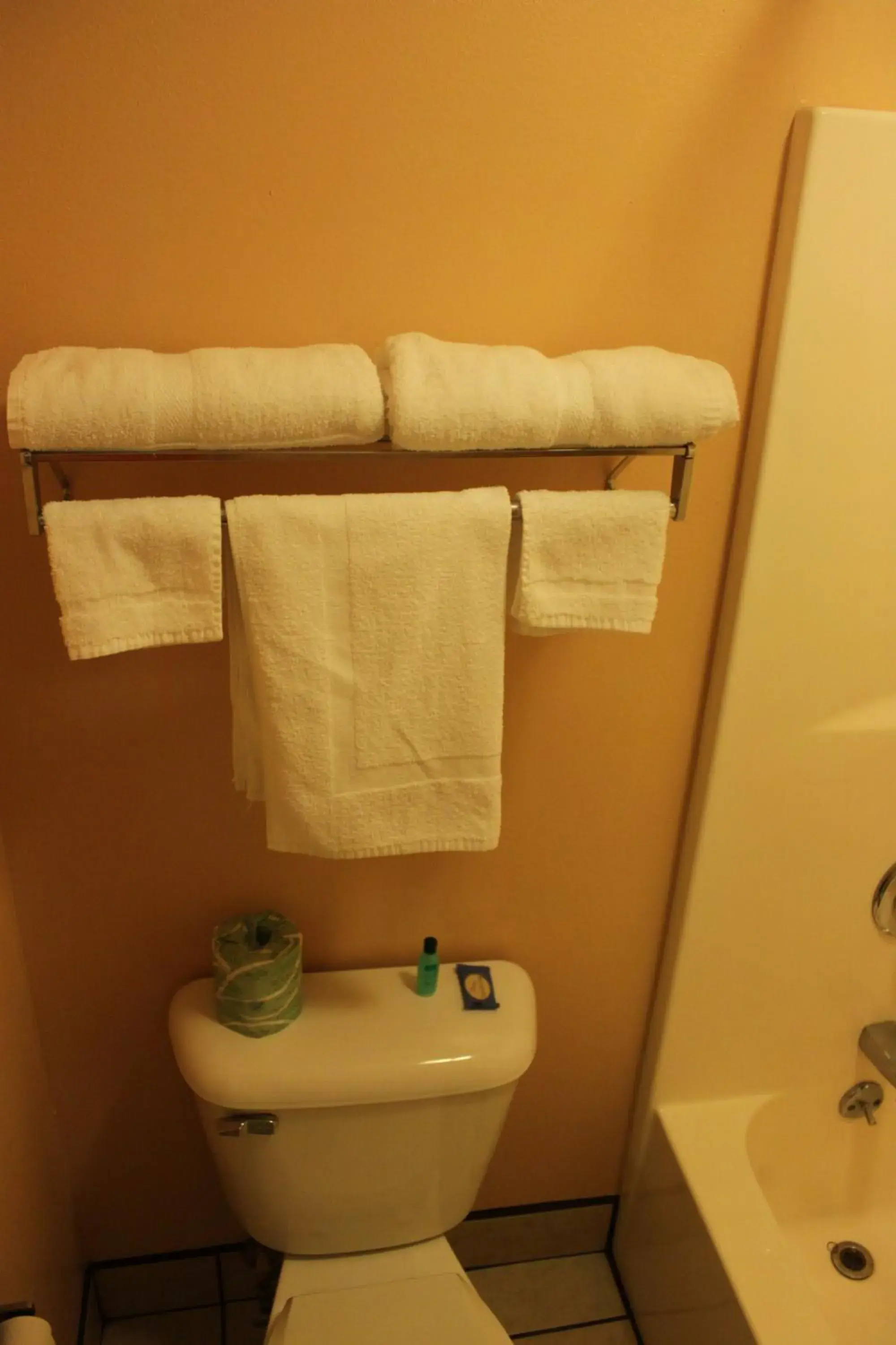 Queen Room in Holiday Lodge Queen Room in Holiday Lodge