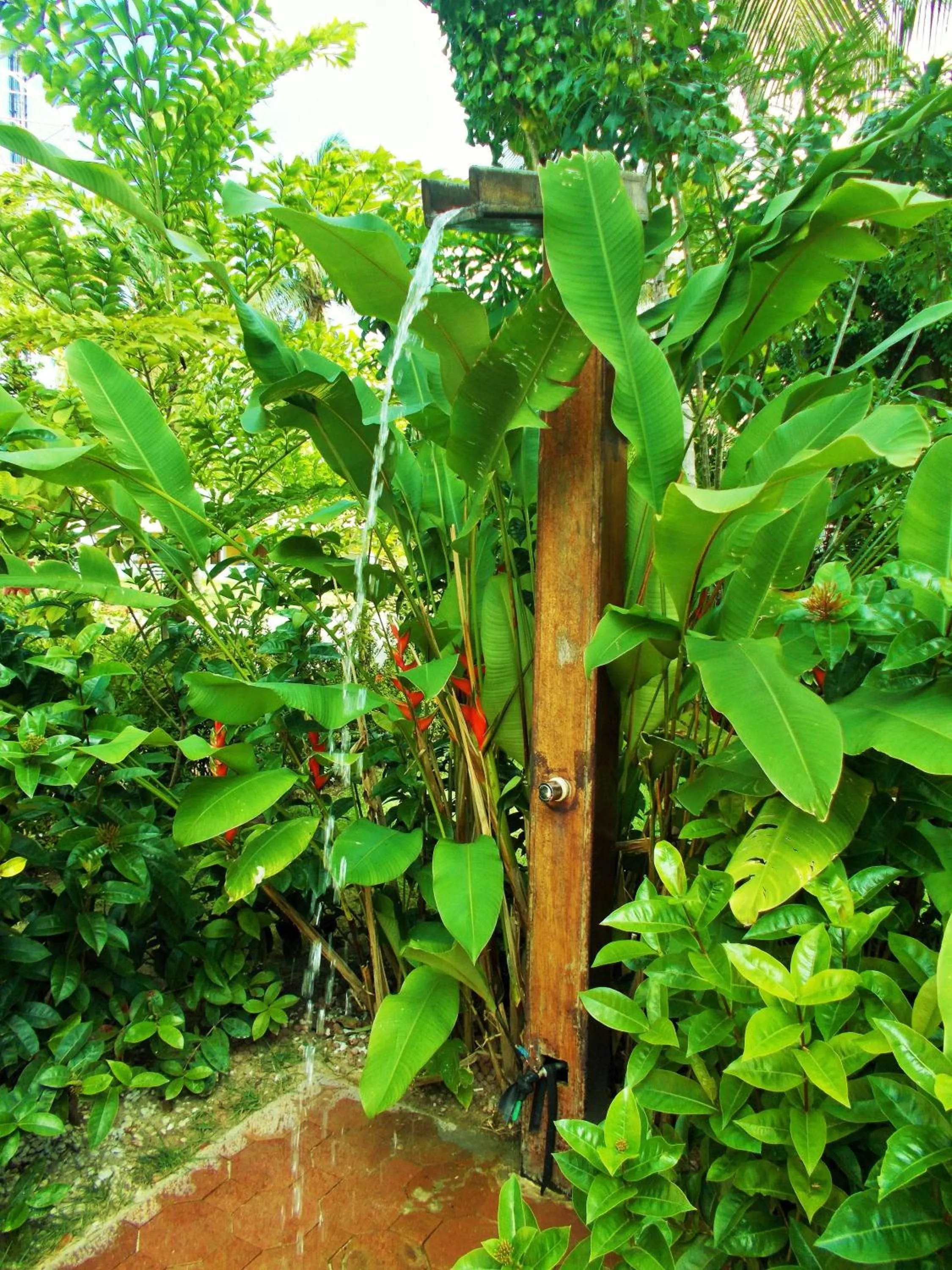 Garden in Pousada Lua Cheia