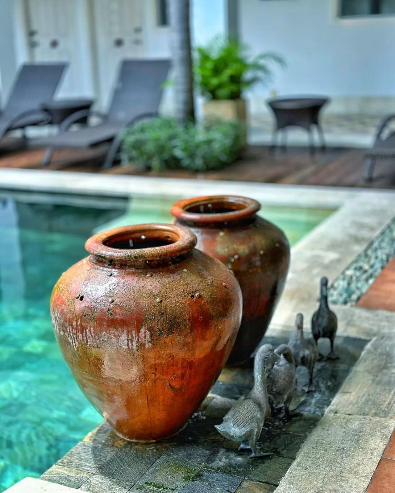 Swimming pool in Samsara Inn