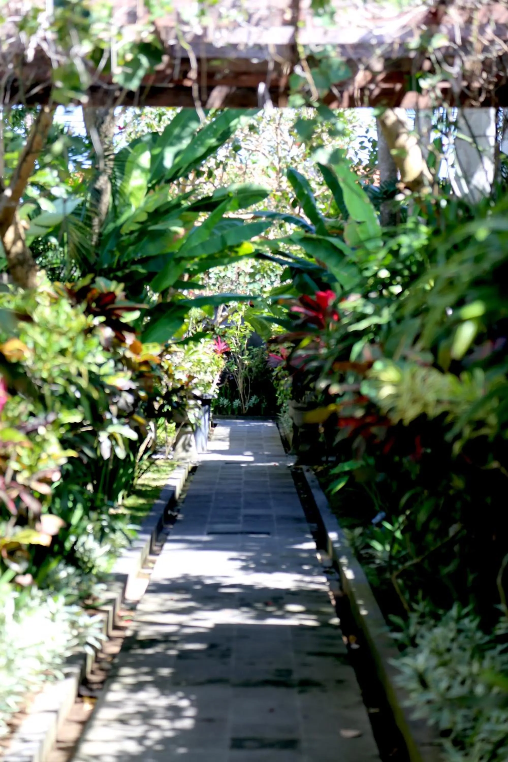 On site in Amore Villas