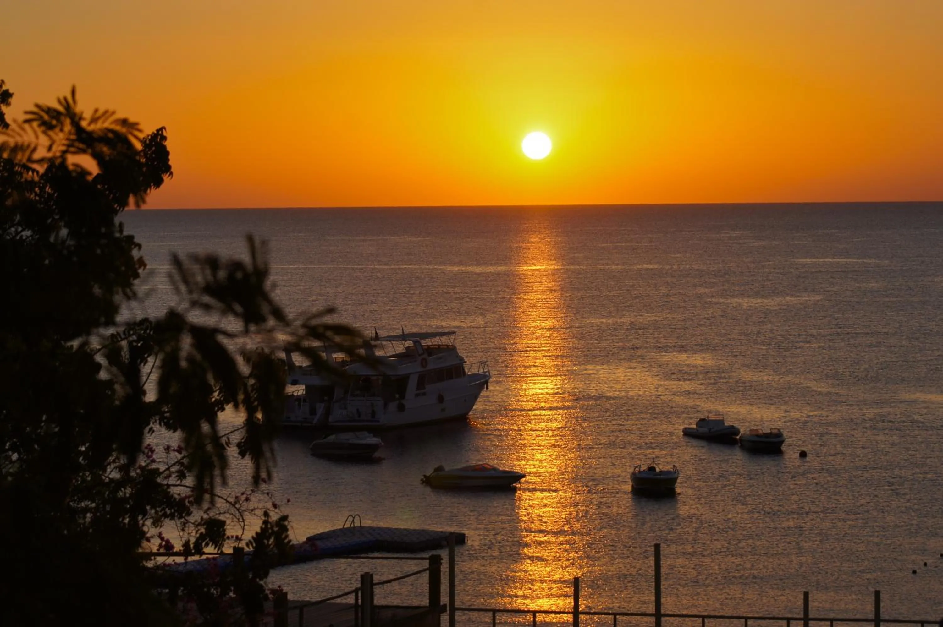 Night in Umbi Sharks Bay Diving Village