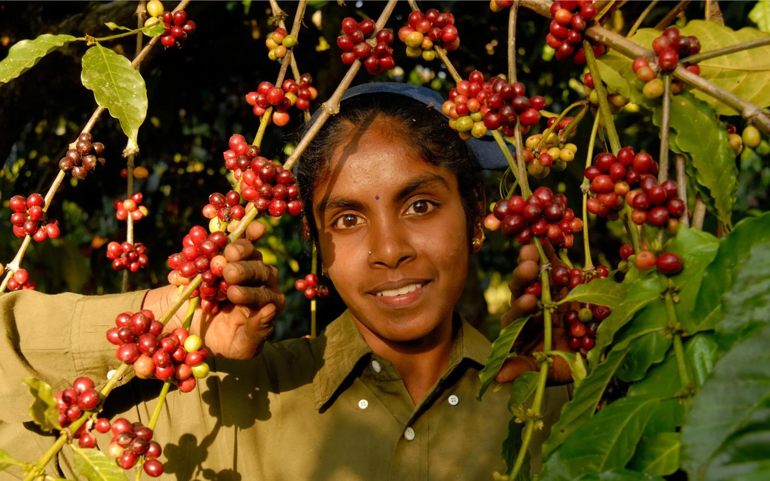 Off site in Evolve Back Coorg