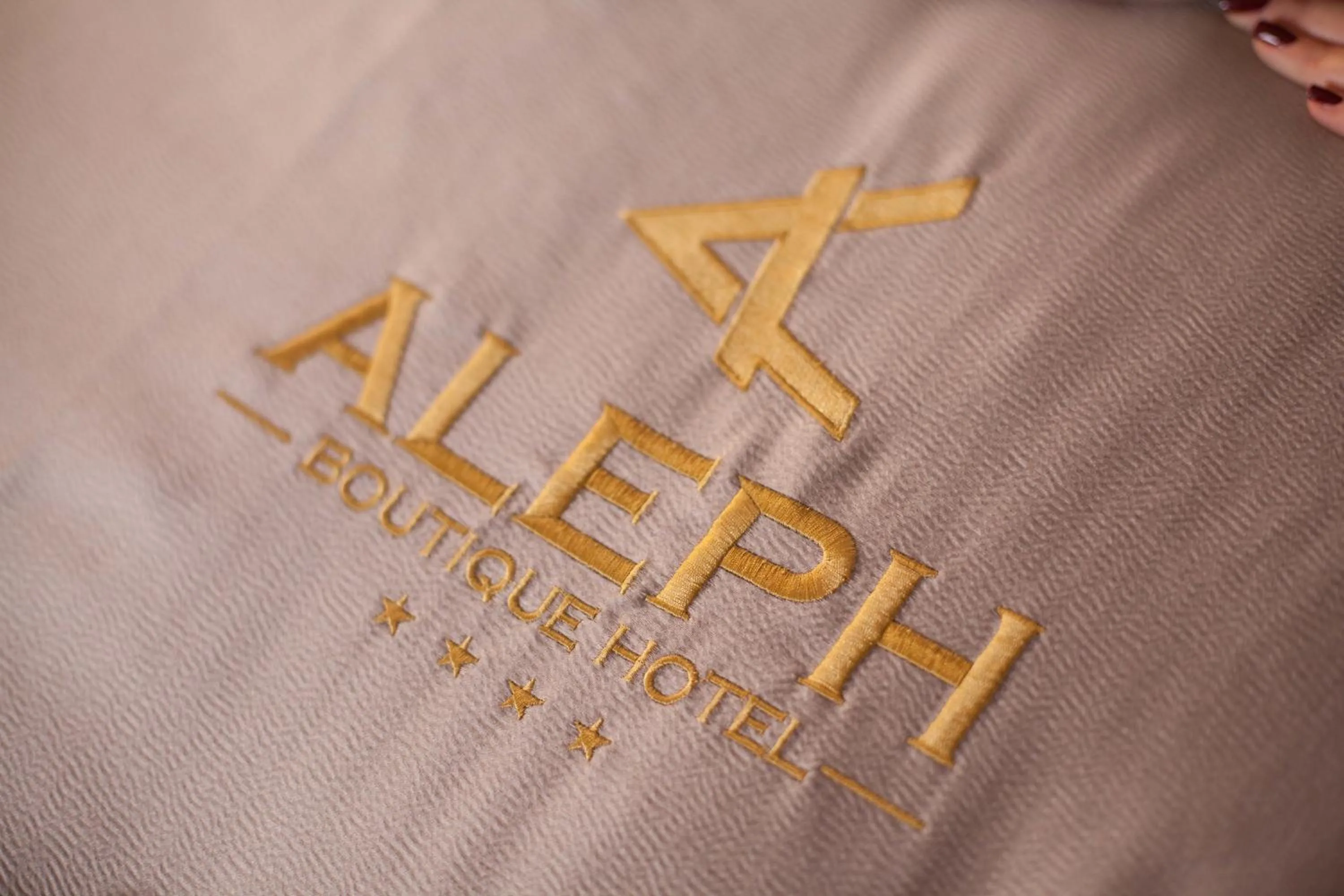 Decorative detail in Aleph Boutique Hotel