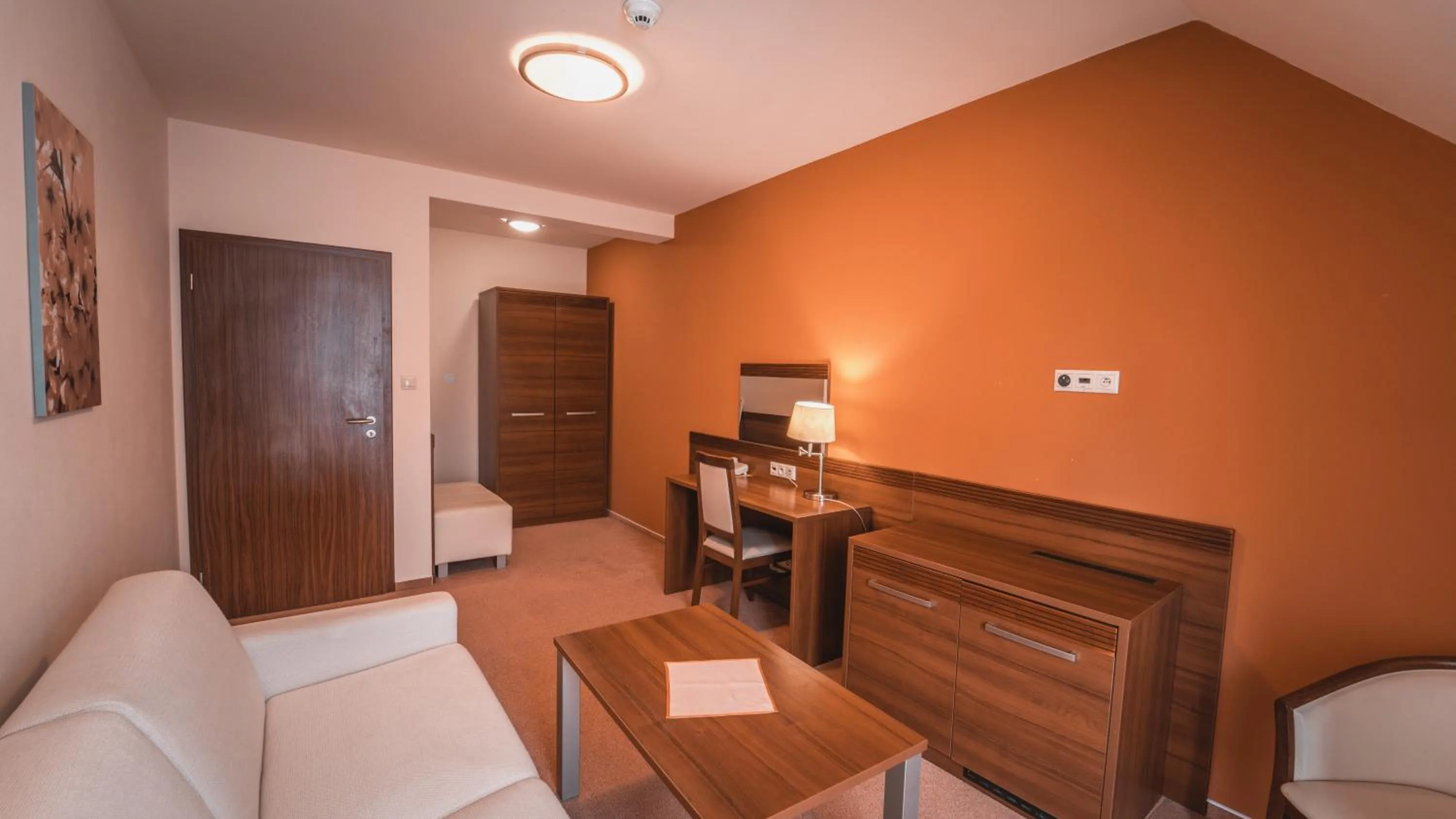 Communal lounge/ TV room in Dom zdravia - KÚPELE PIENINY