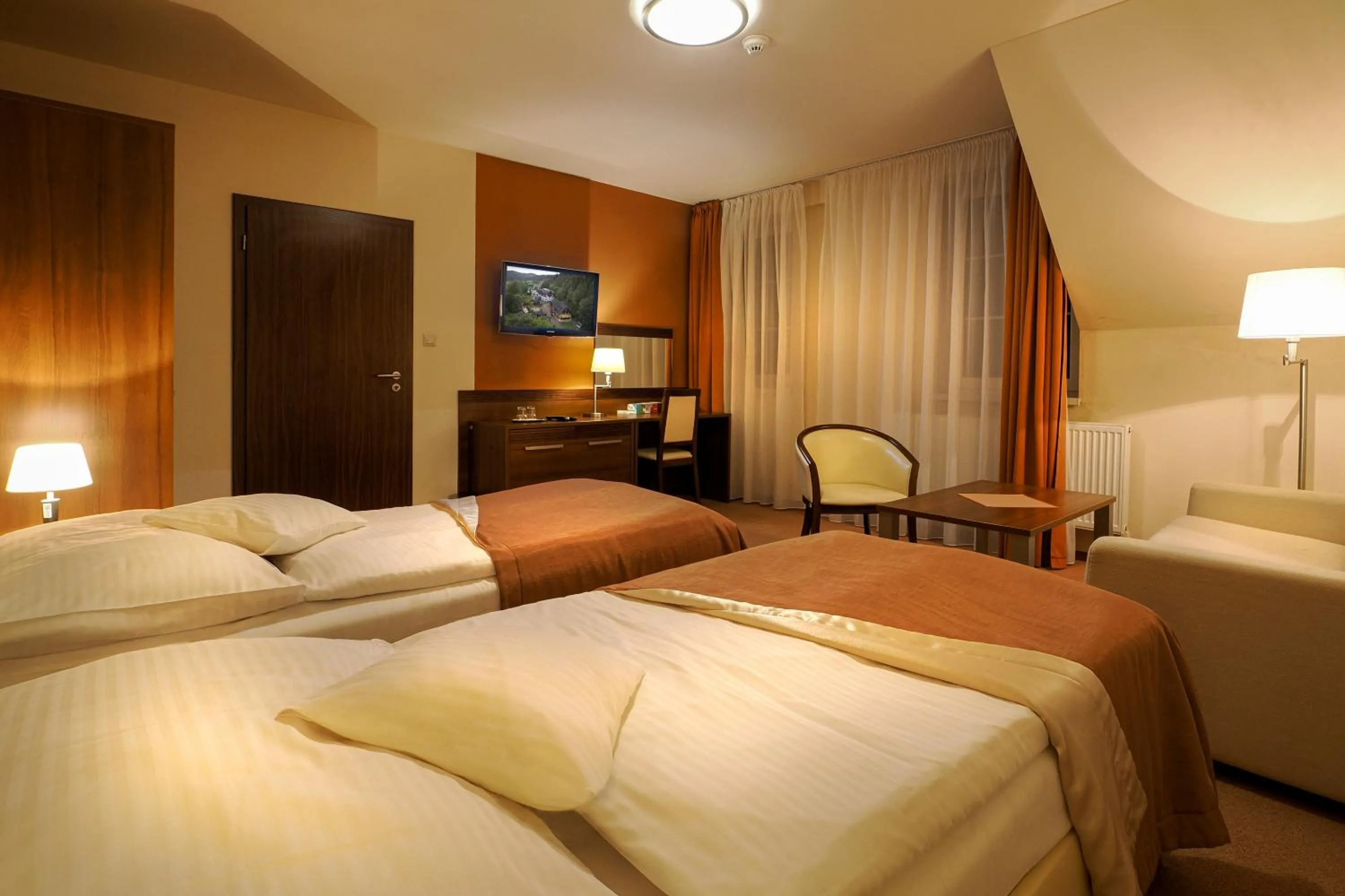 TV and multimedia, Bed in Dom zdravia - KÚPELE PIENINY