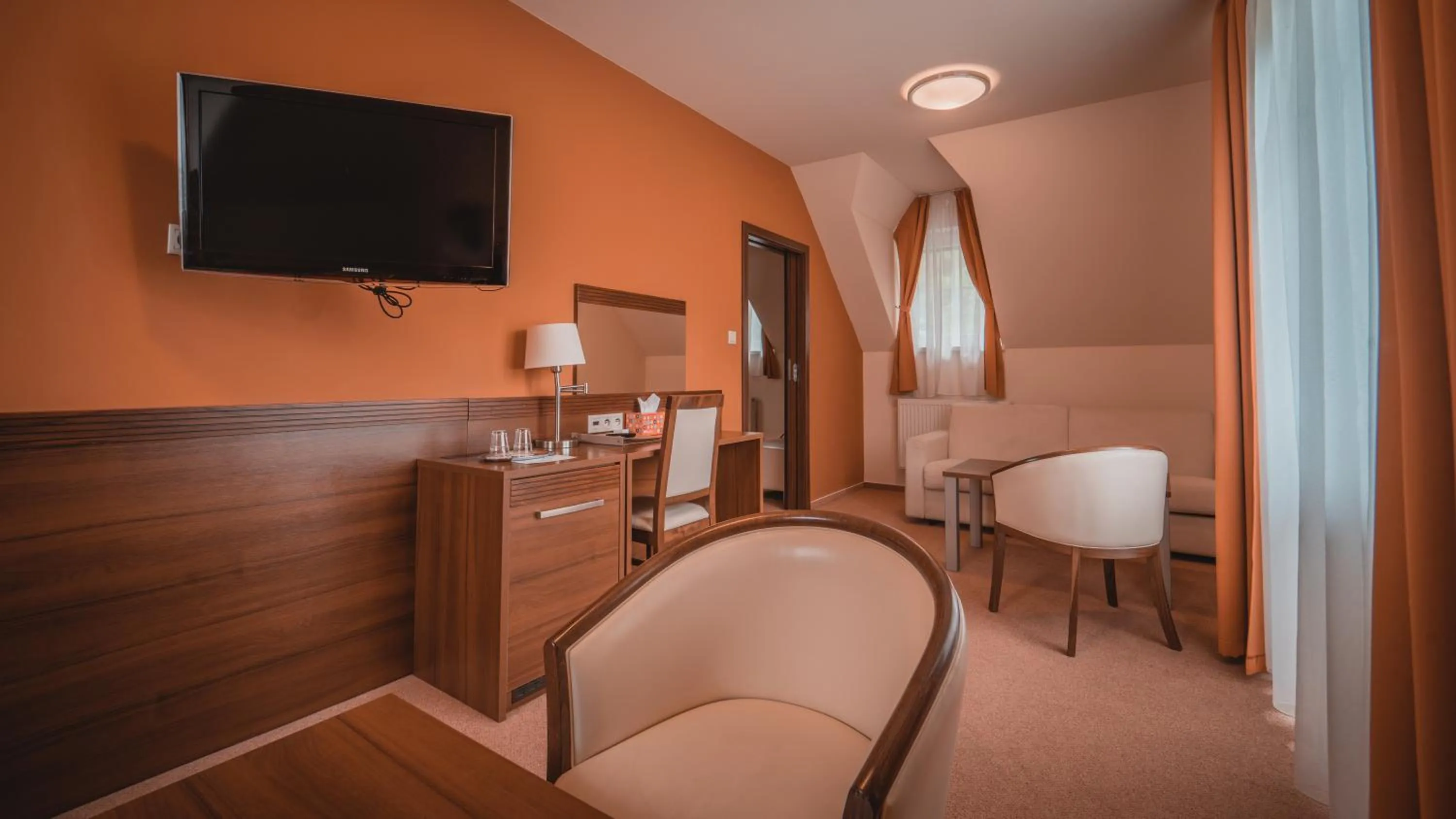 Communal lounge/ TV room in Dom zdravia - KÚPELE PIENINY