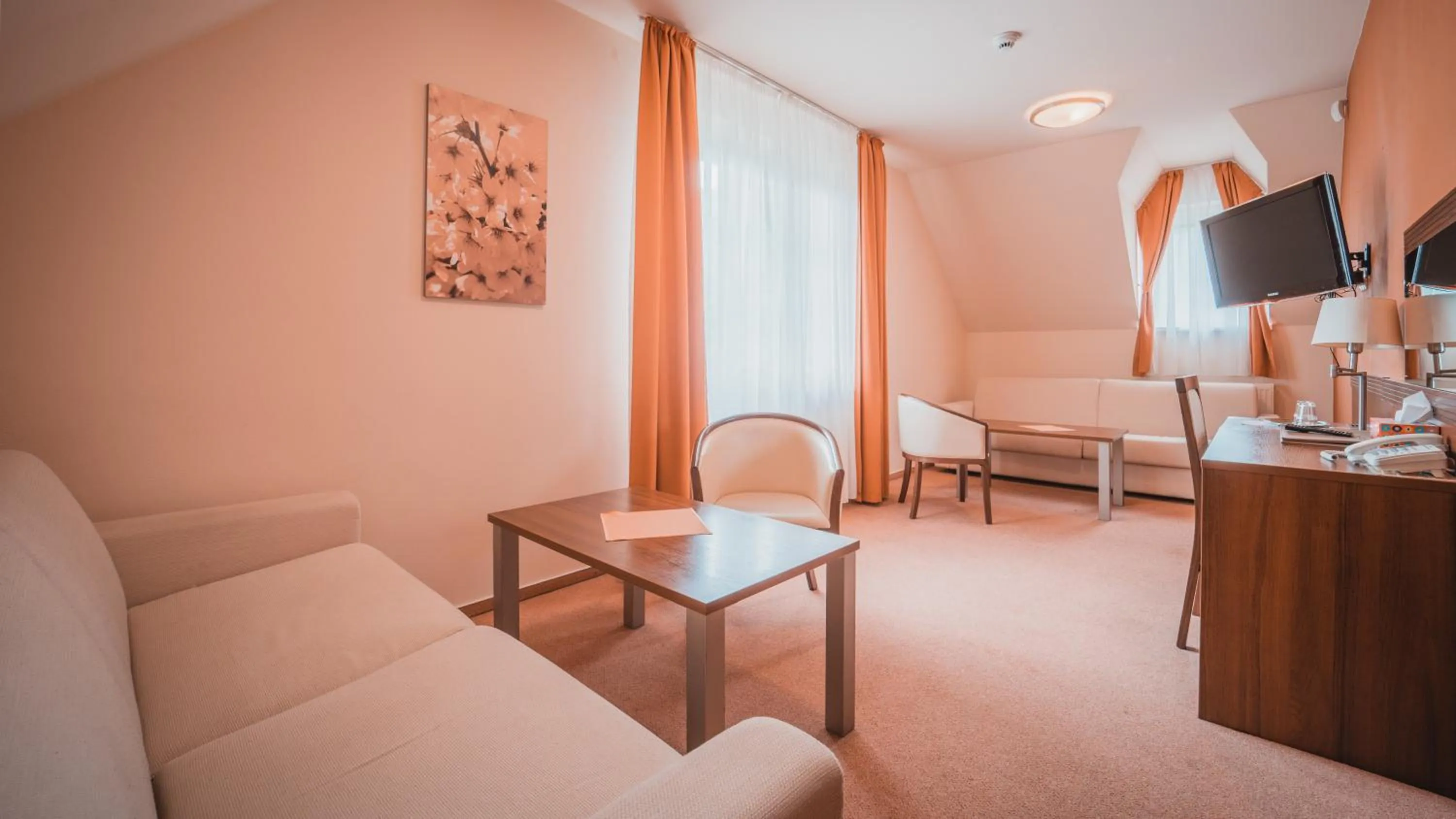 TV and multimedia in Dom zdravia - KÚPELE PIENINY