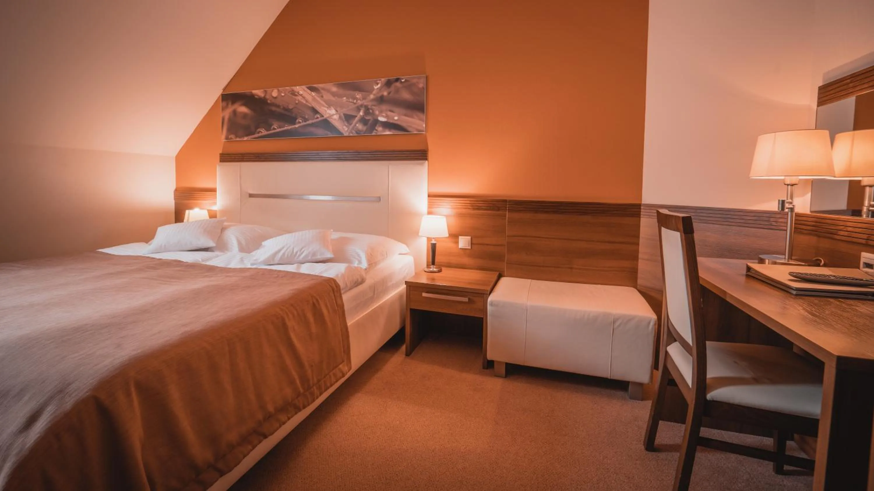 Bed in Dom zdravia - KÚPELE PIENINY