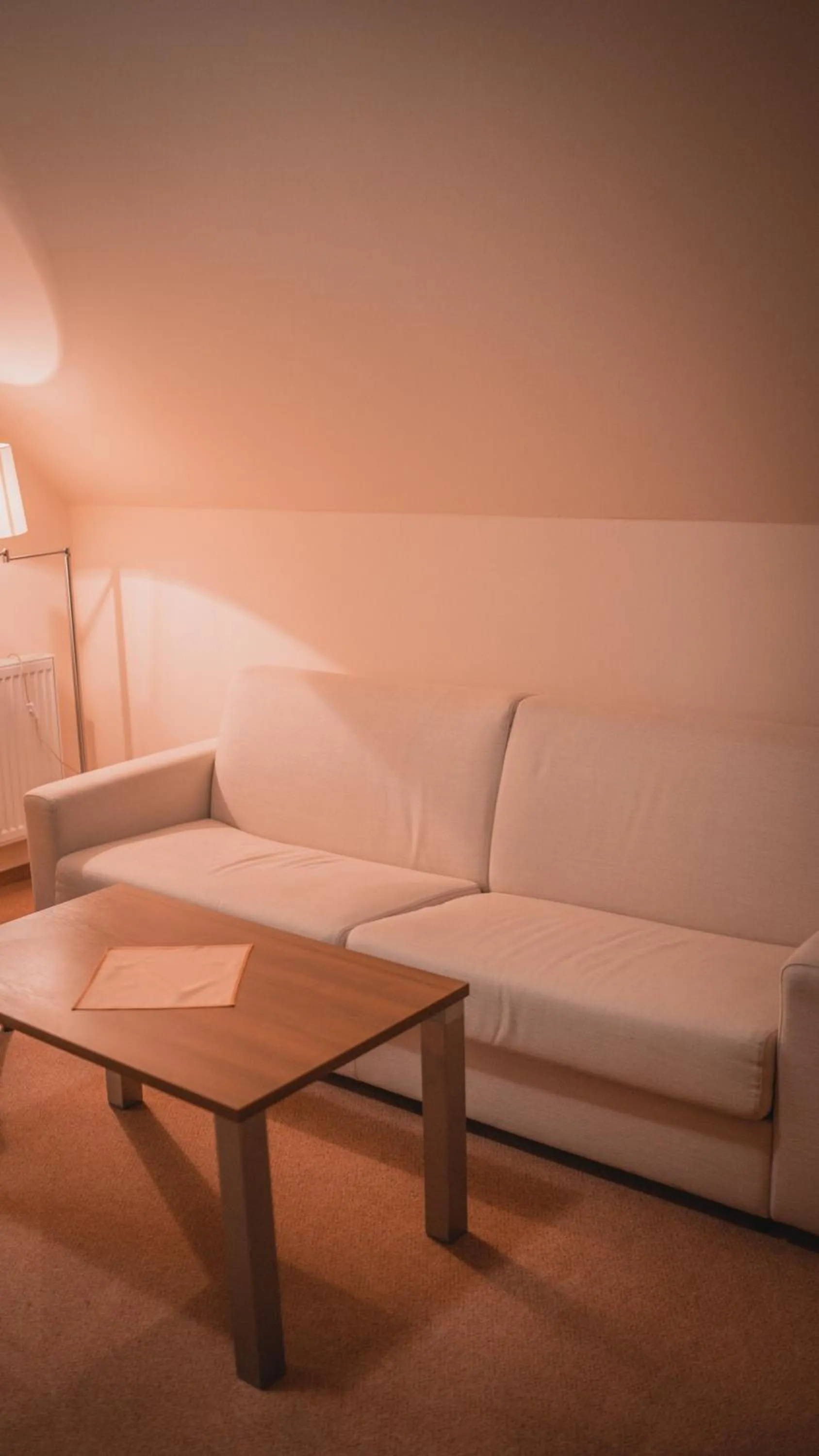 Communal lounge/ TV room in Dom zdravia - KÚPELE PIENINY