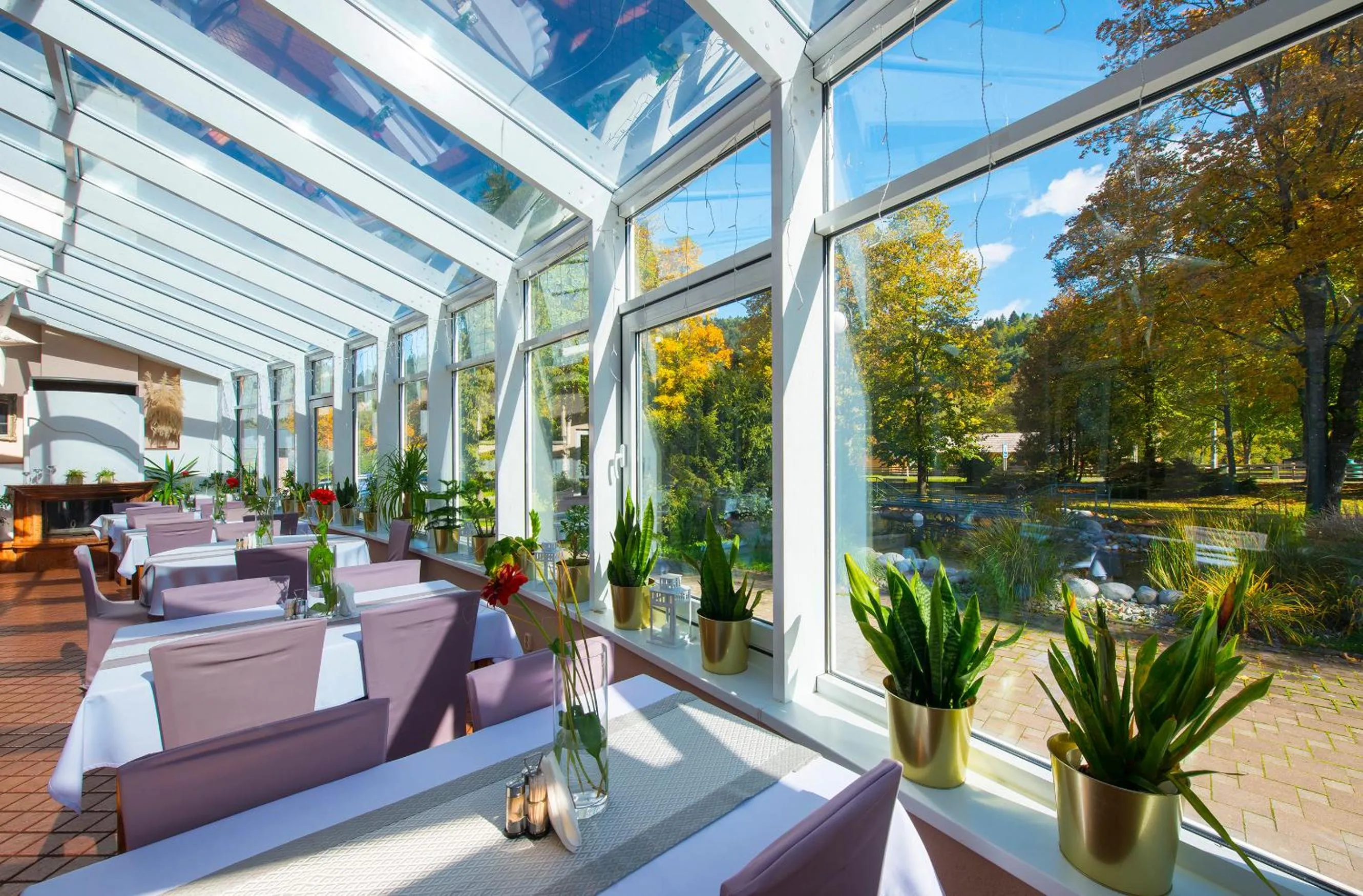 Restaurant/places to eat in Kúpeľné domčeky - KÚPELE ČERVENÝ KLÁŠTOR Smerdžonka