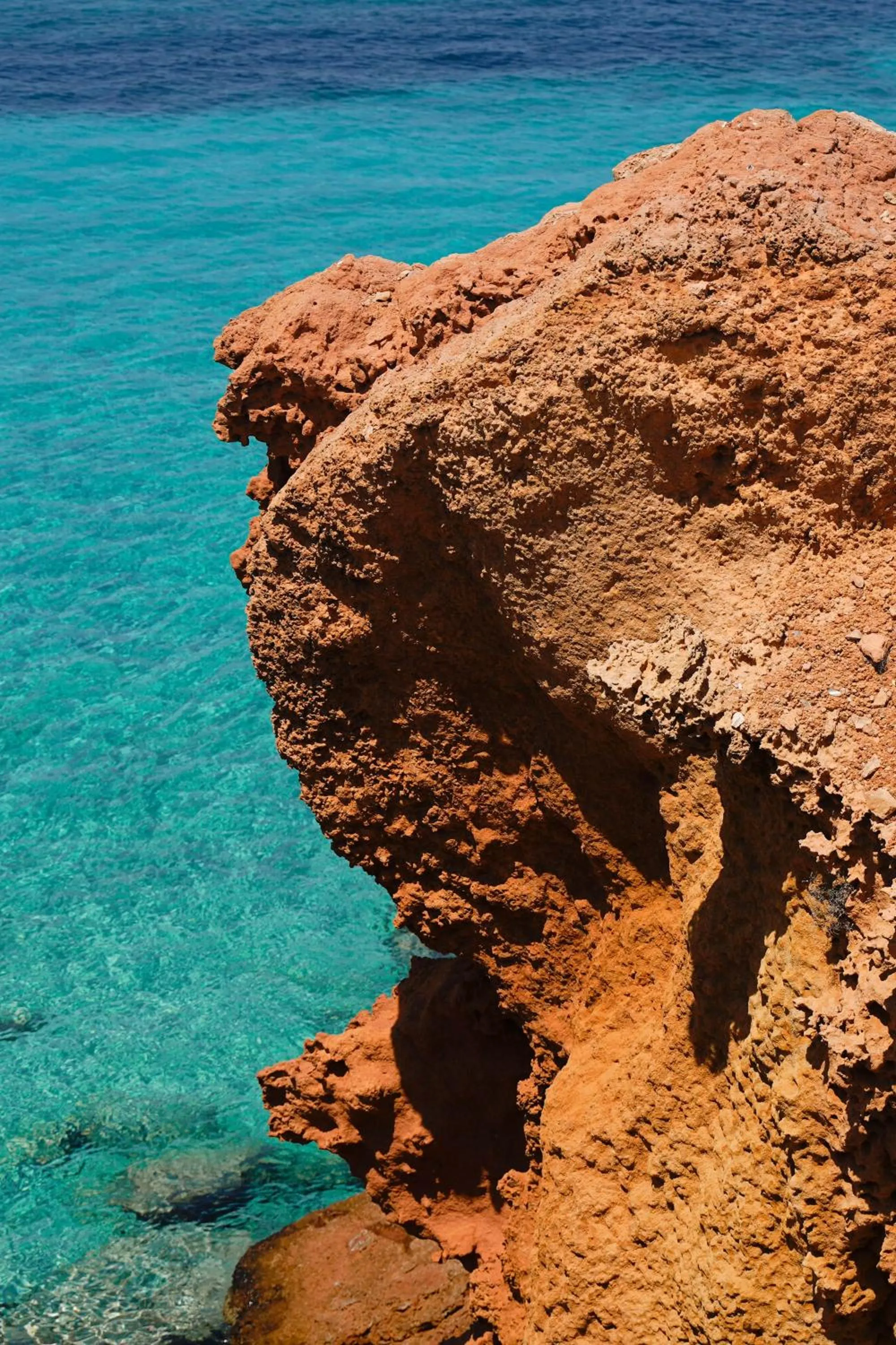 Natural landscape in Hotel Cala Saona & Spa