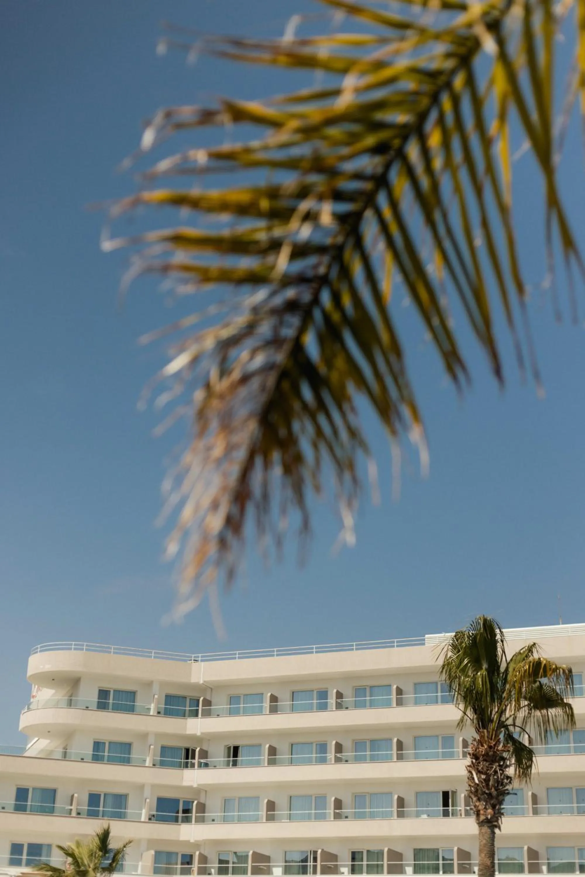 Property building in Melissi Beach Hotel & Spa