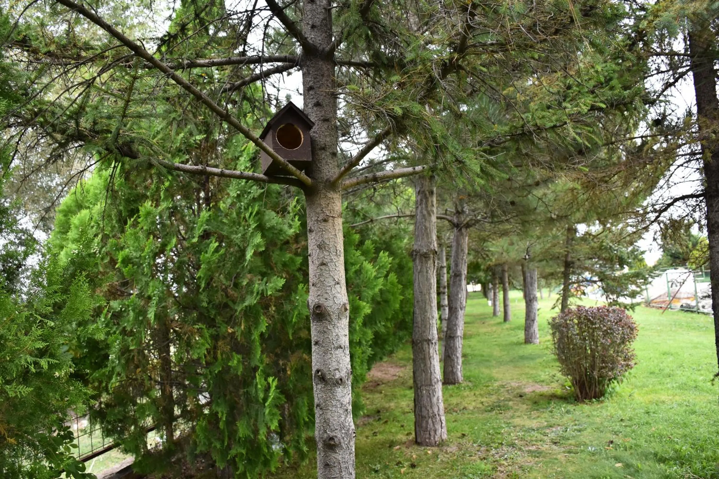 Natural landscape in Ikbal Thermal Hotel & Spa Afyon