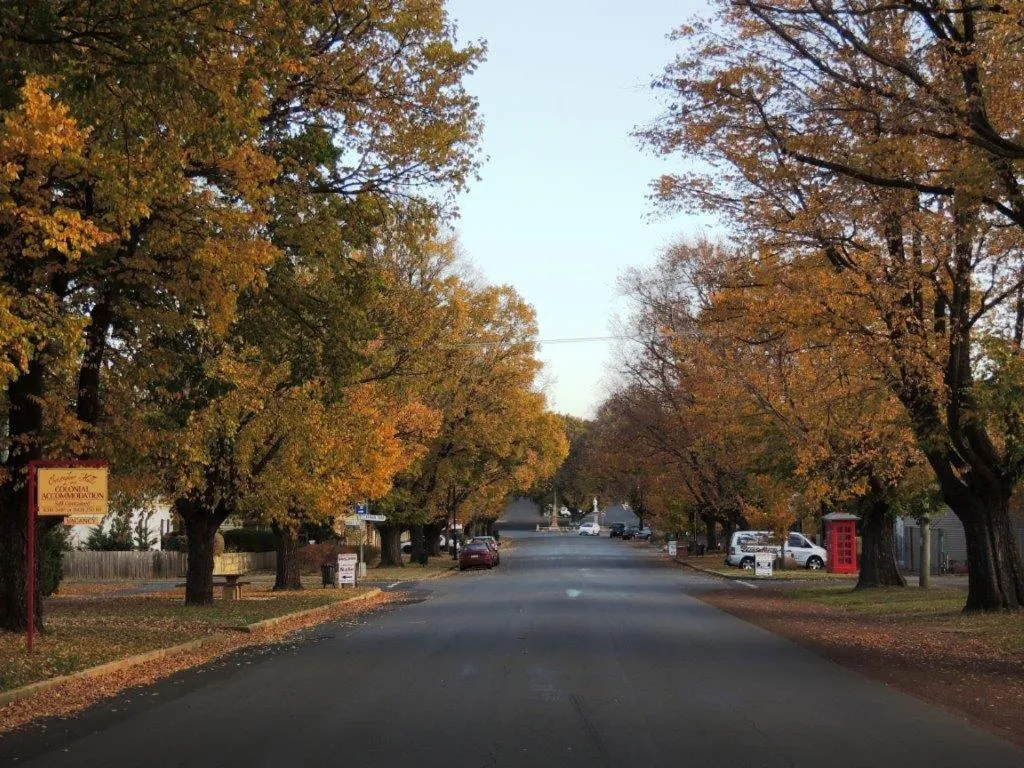 Area and facilities in Riverview at Ross