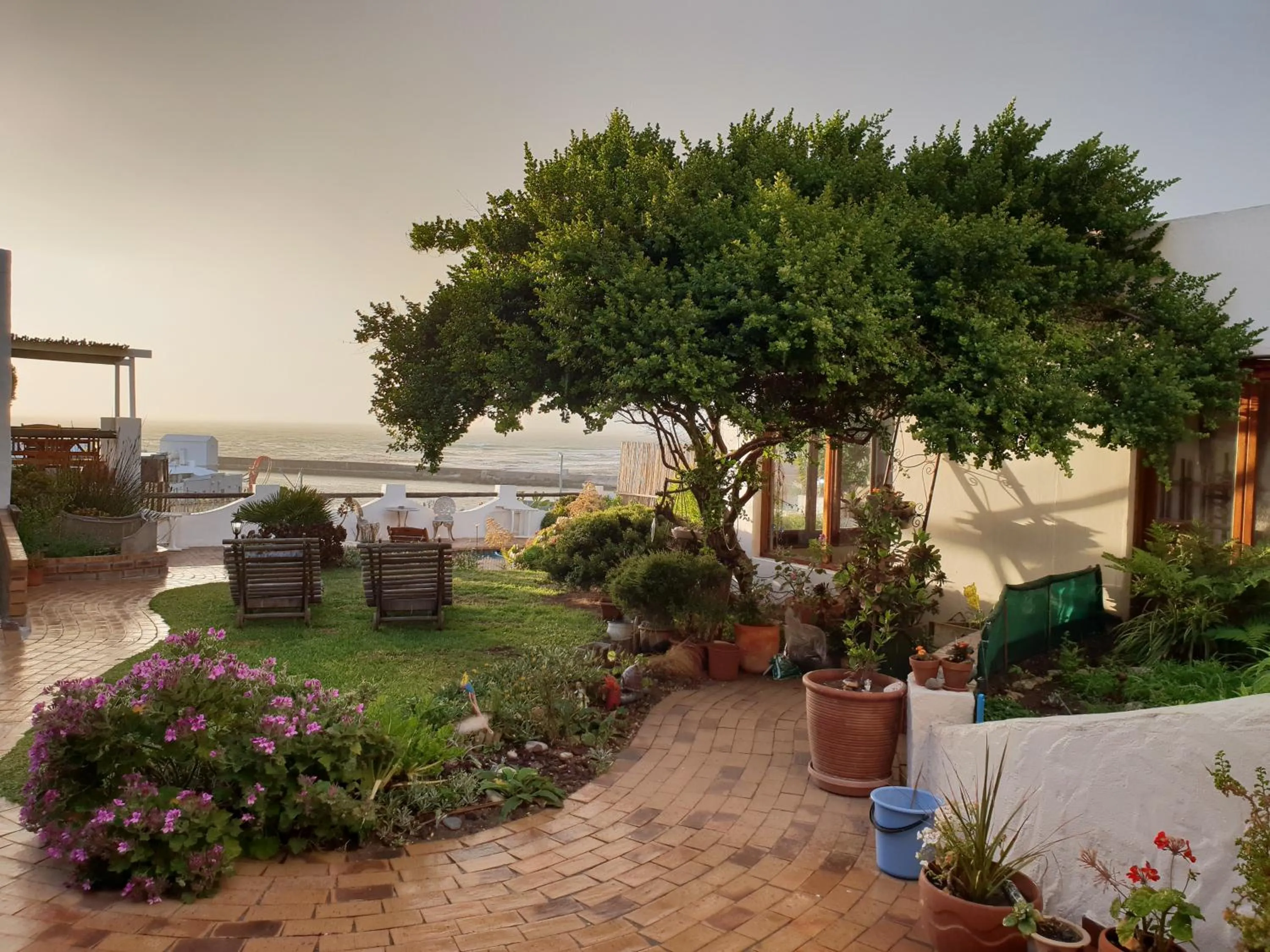 Garden in Saxon Lodge