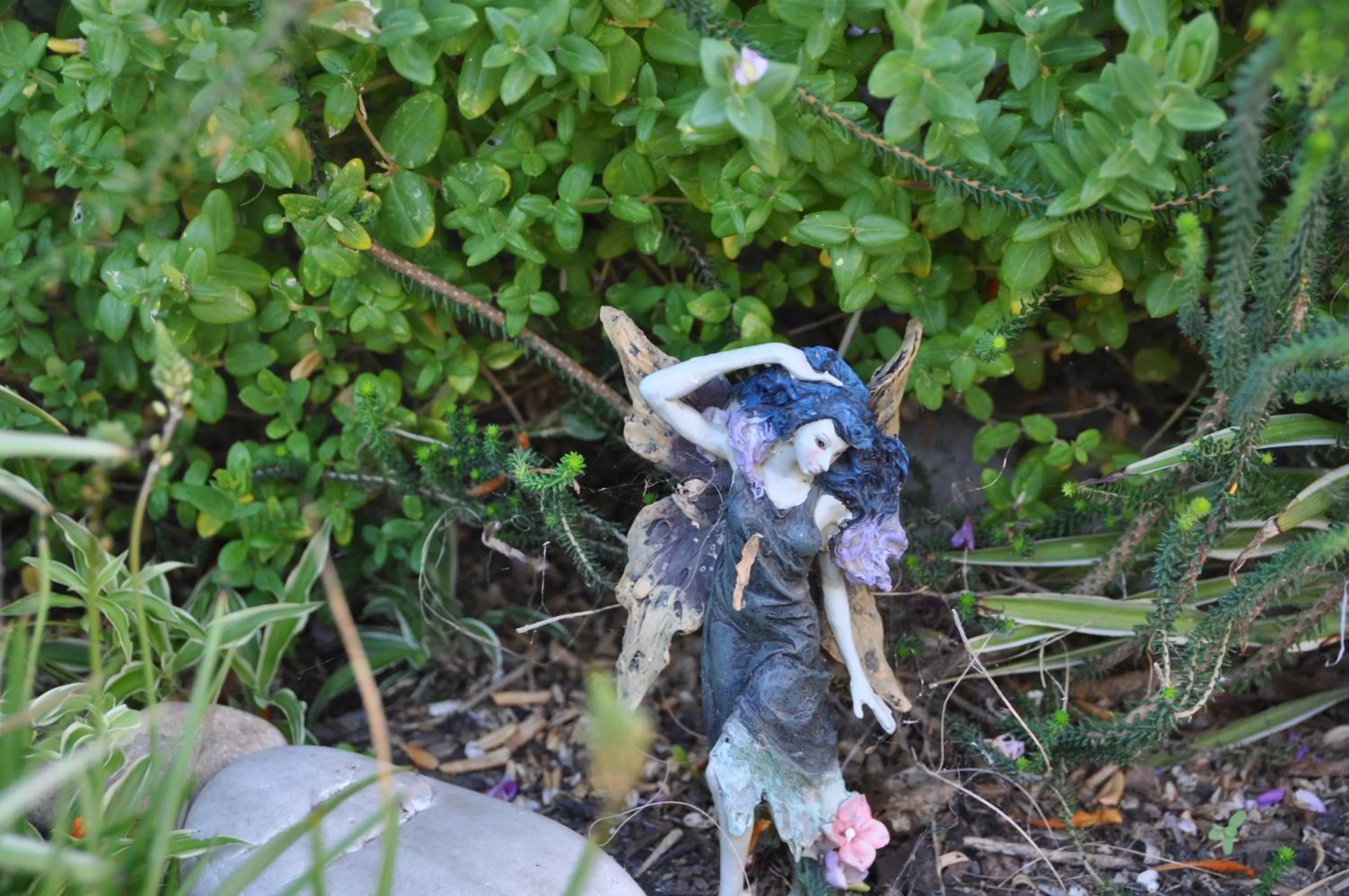 Garden in Saxon Lodge