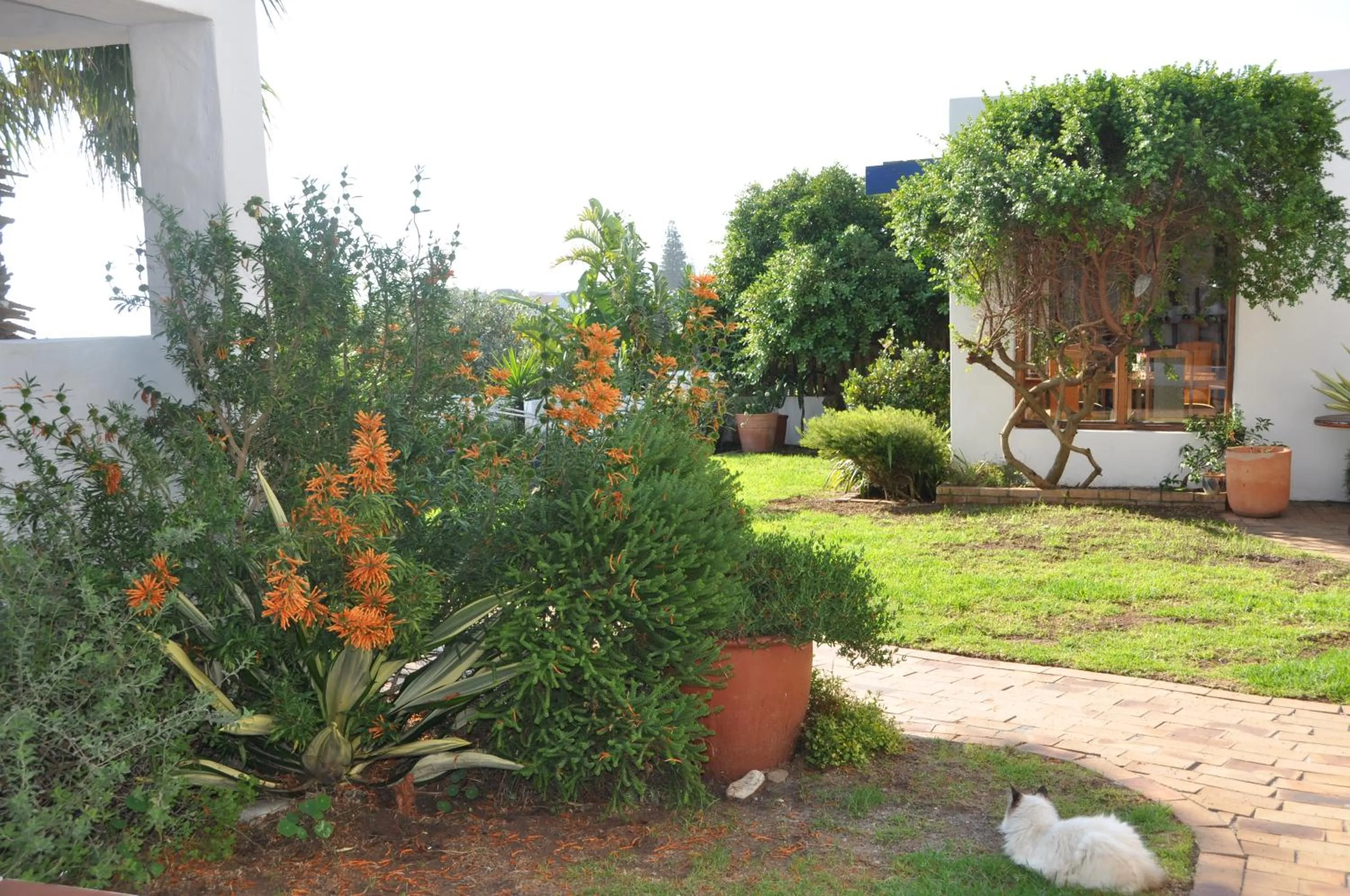 Garden in Saxon Lodge