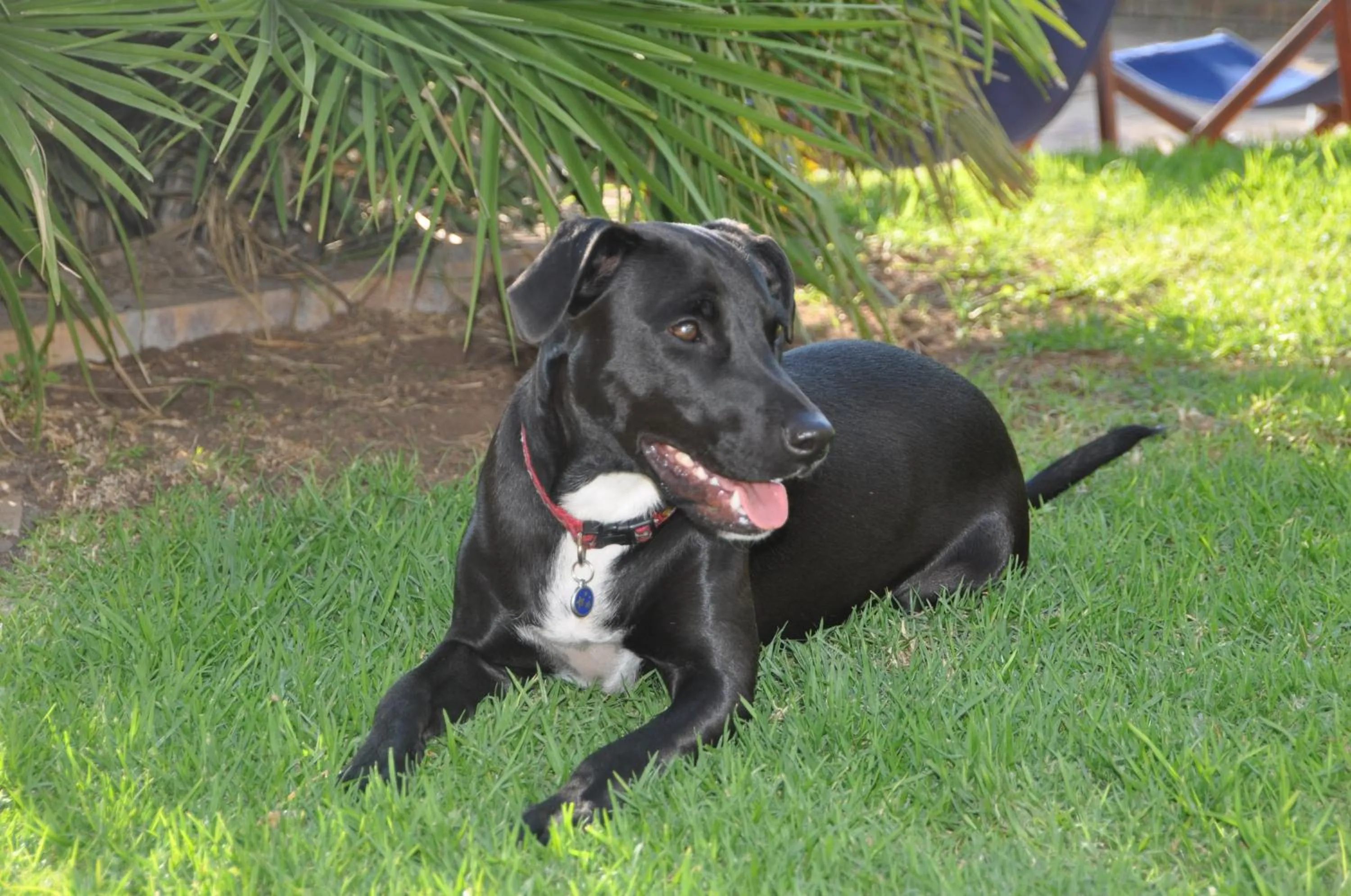 Other in Saxon Lodge