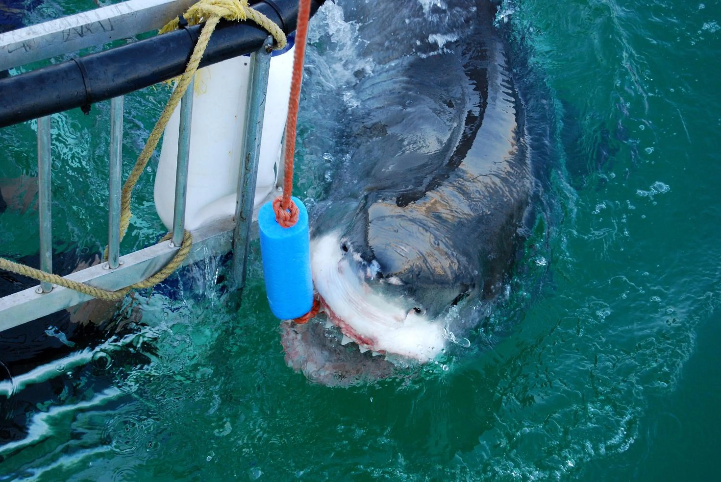 Activities in Saxon Lodge