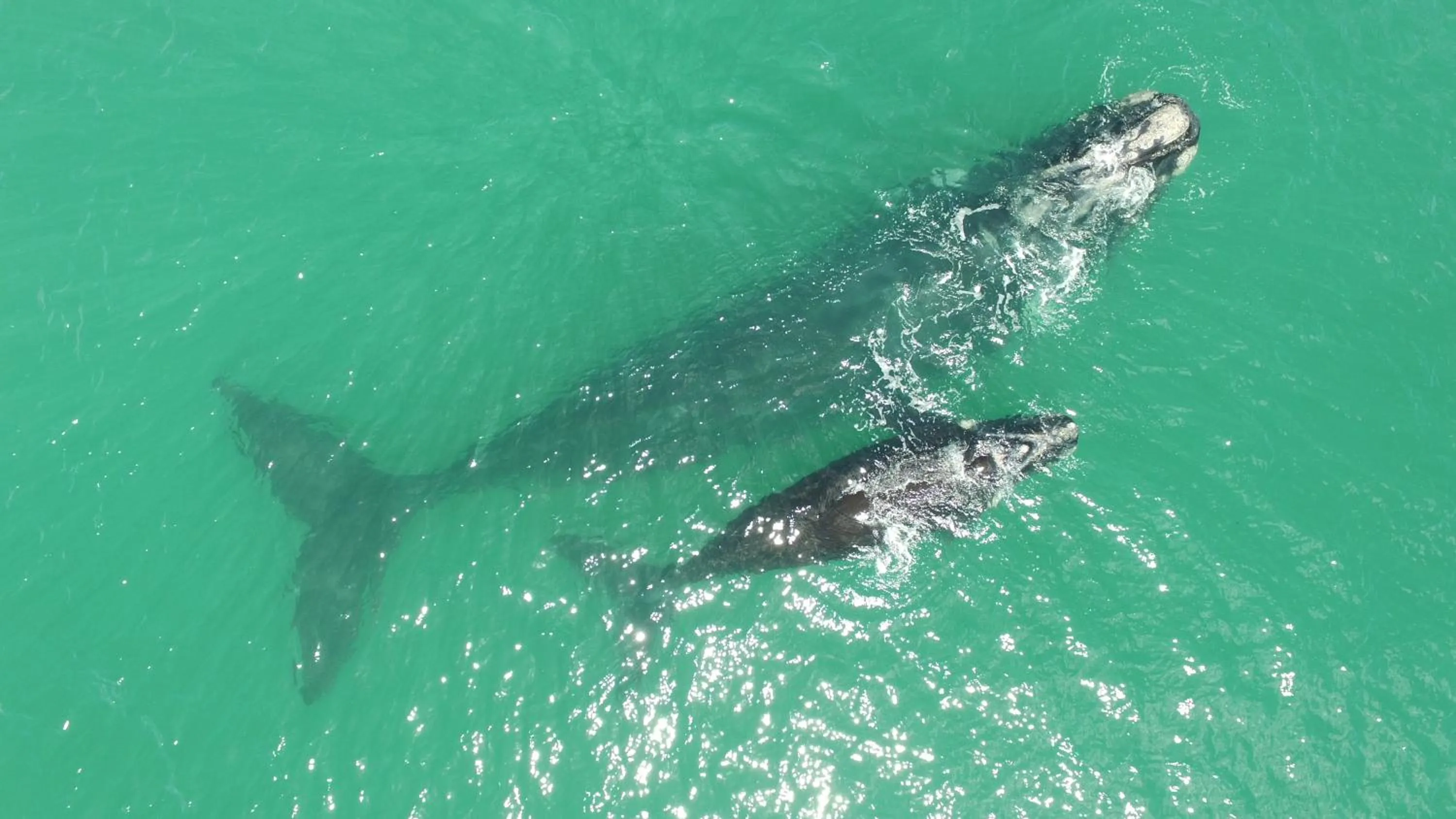 Off site in Saxon Lodge