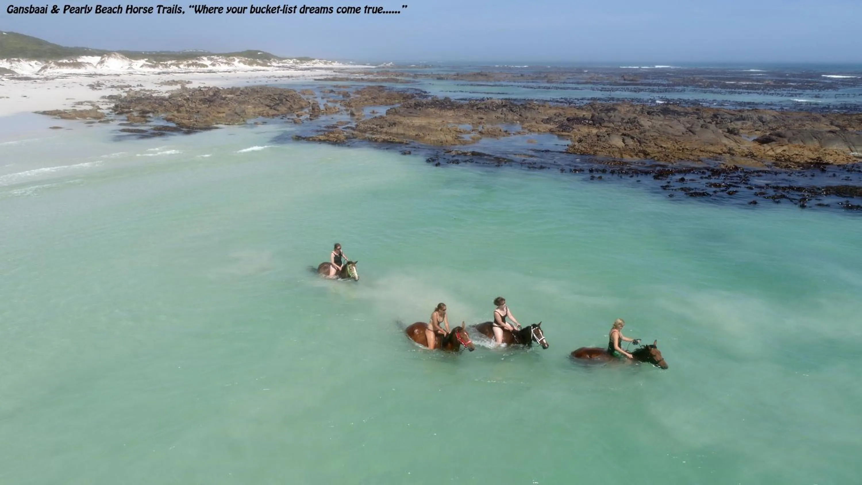 Activities in Saxon Lodge