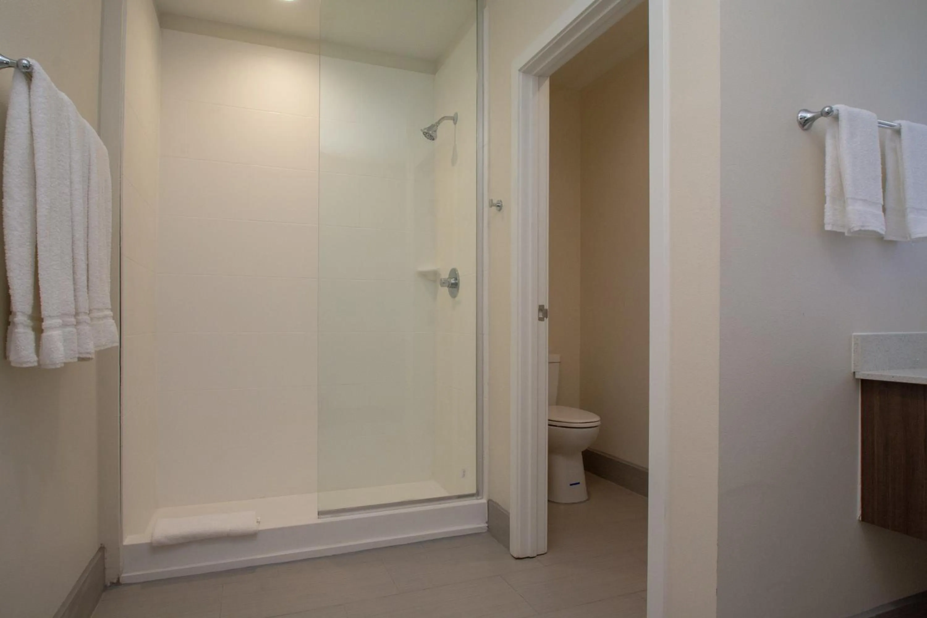 Shower in Palace Inn El Paso