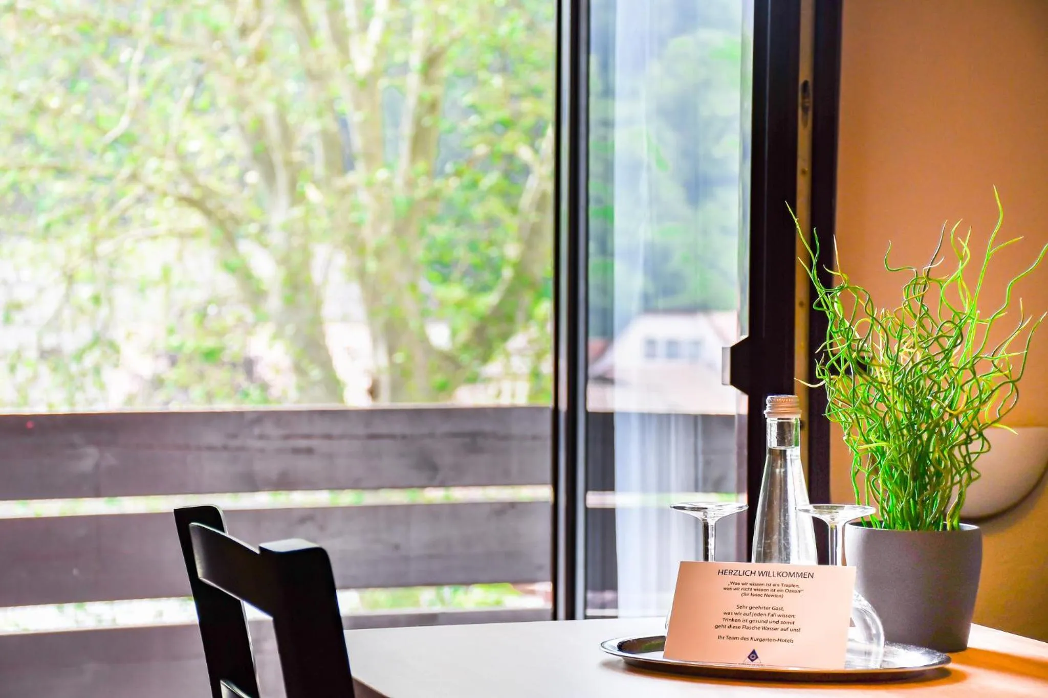 View (from property/room) in Kurgarten-Hotel