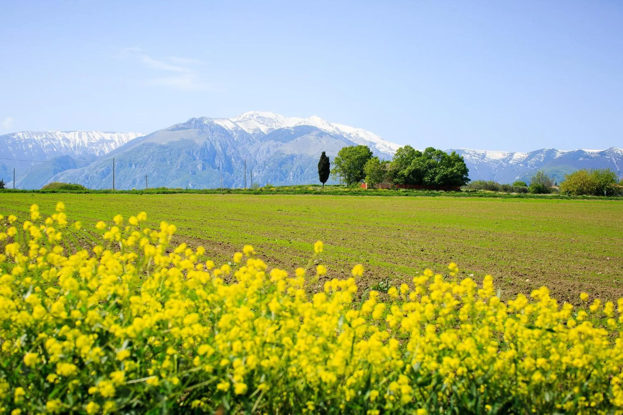 View (from property/room) in Hotel Residence Eden