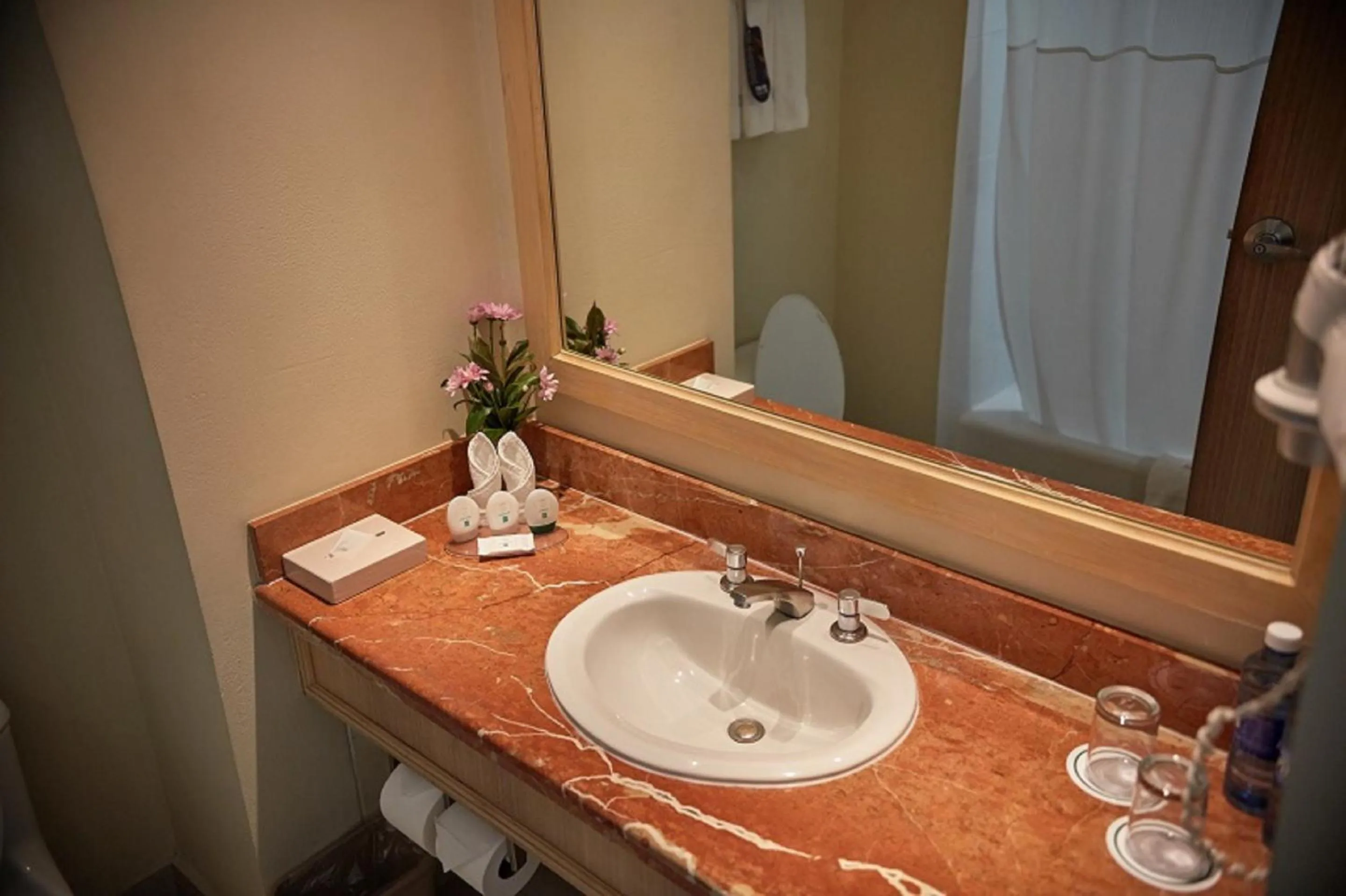 Shower in Quality Hotel Real Aeropuerto San Salvador