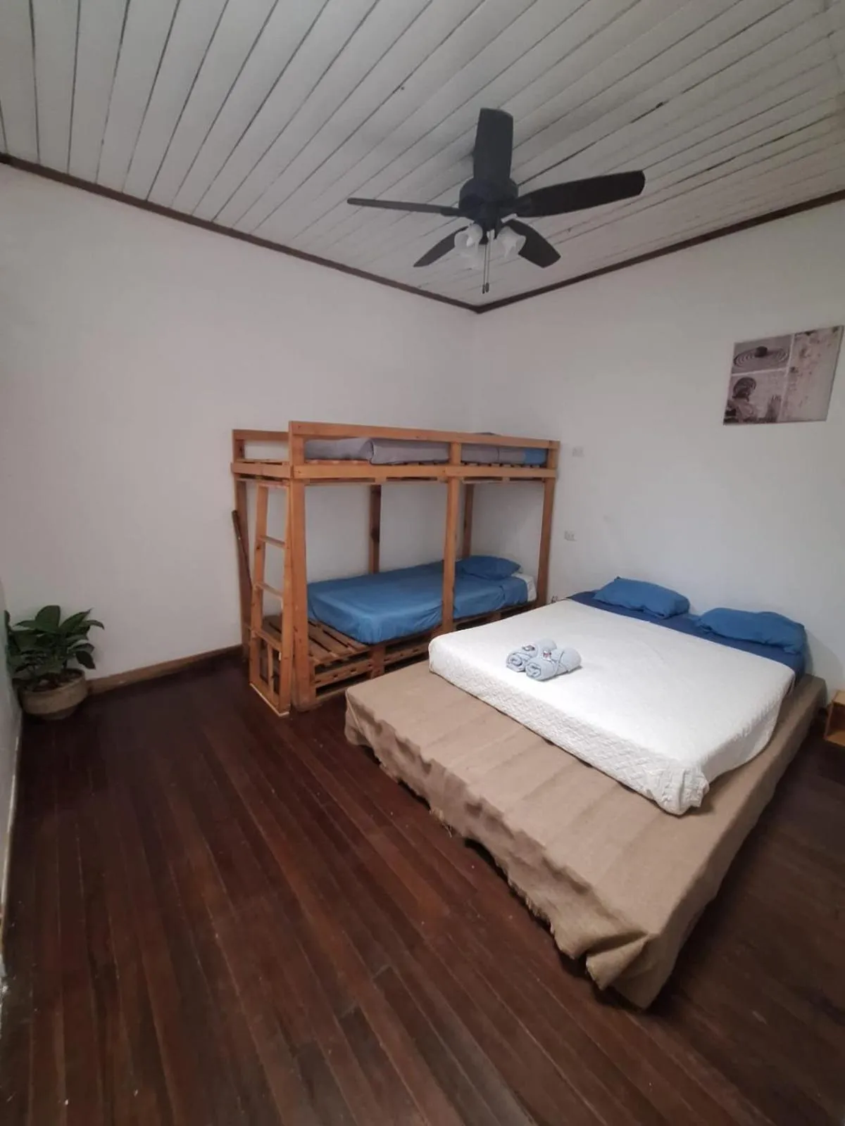 Bed in Hotel Cortez Azul